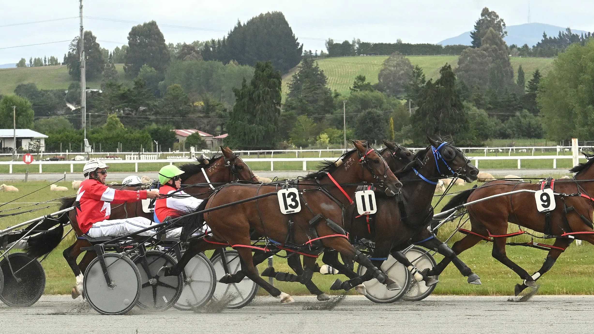 Gore Harness Racing Club states case for course survival
