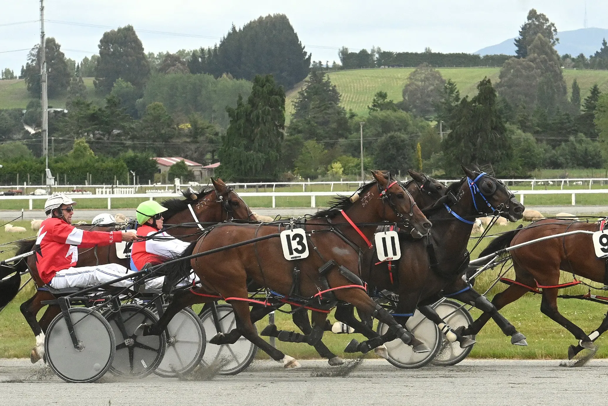 Harness racing faces an uncertain future at the Gore racecourse. Photo: Linda Robertson