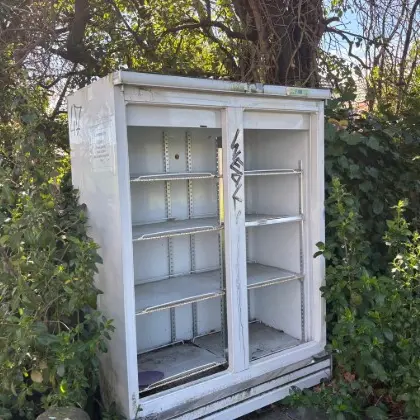 Community gutted by vandalism of book library