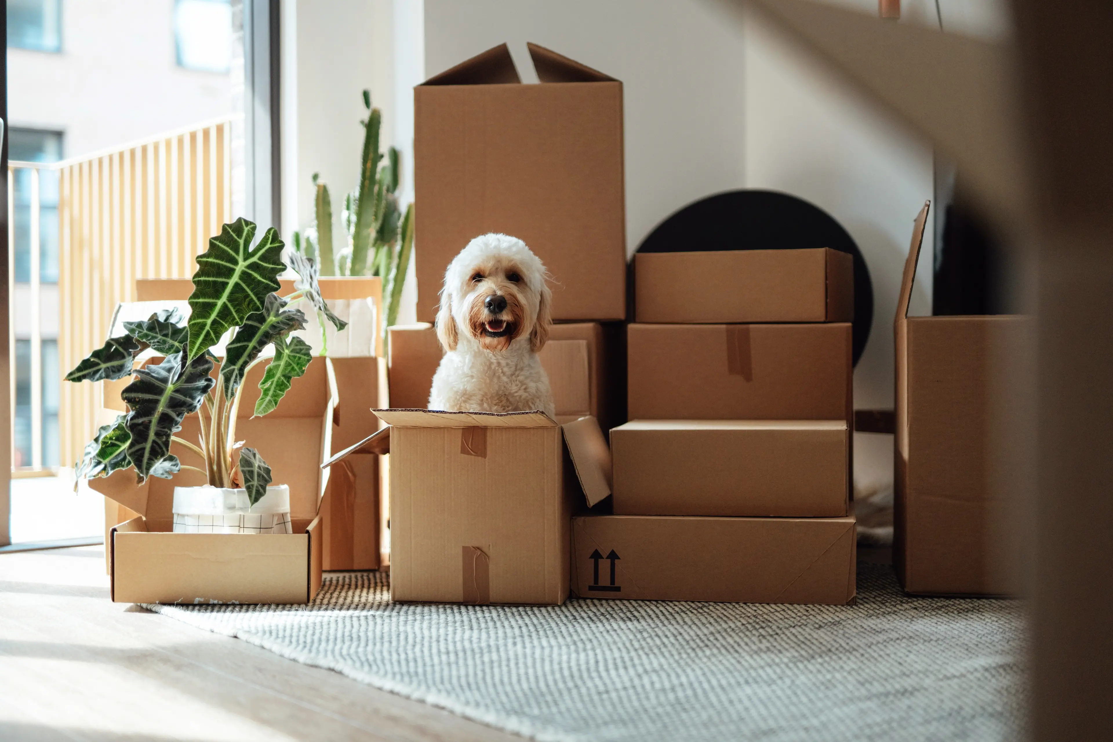 Sorting out your goods and chattels. Photo: Getty Images
