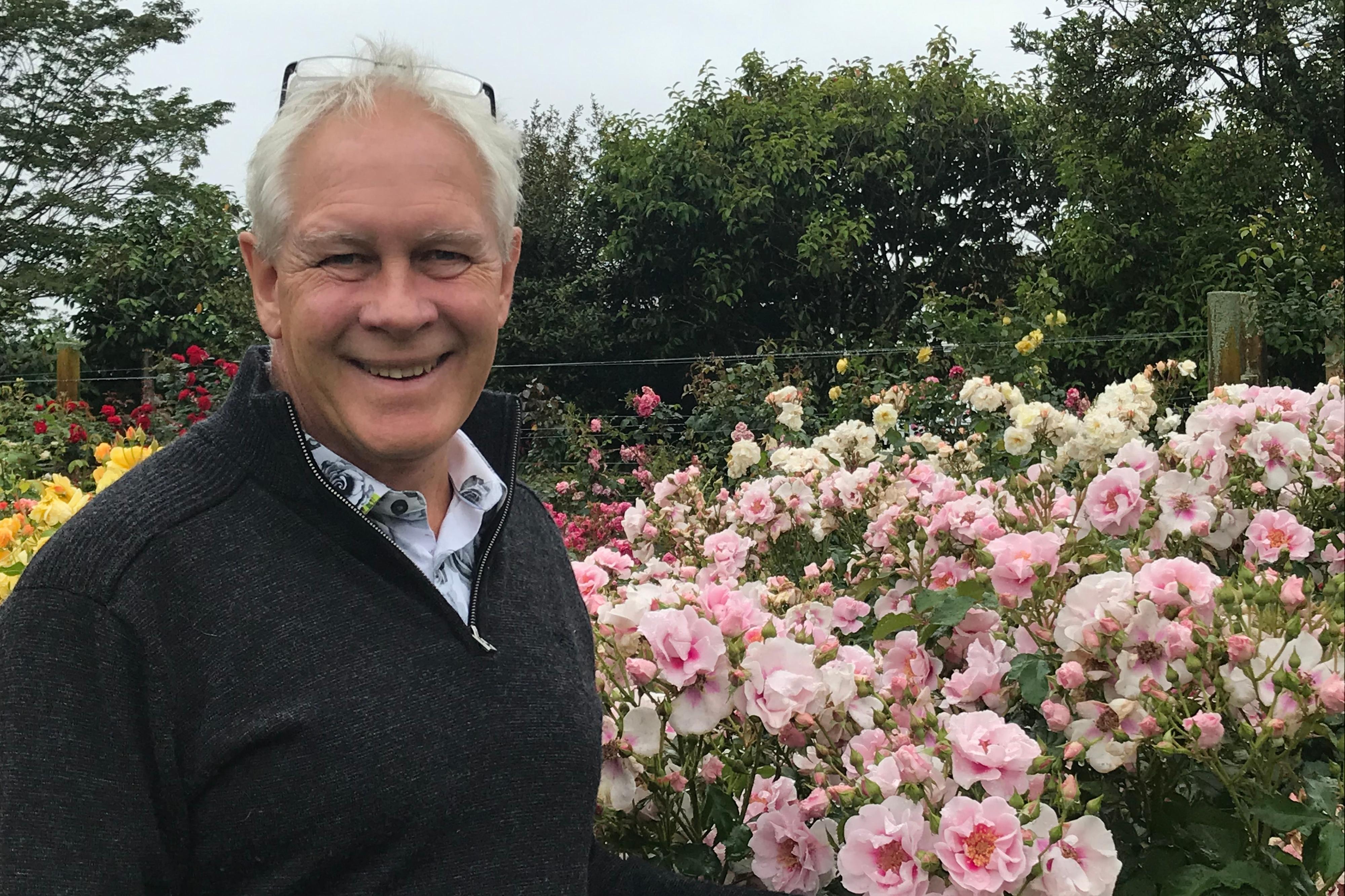 Putting roses to the test