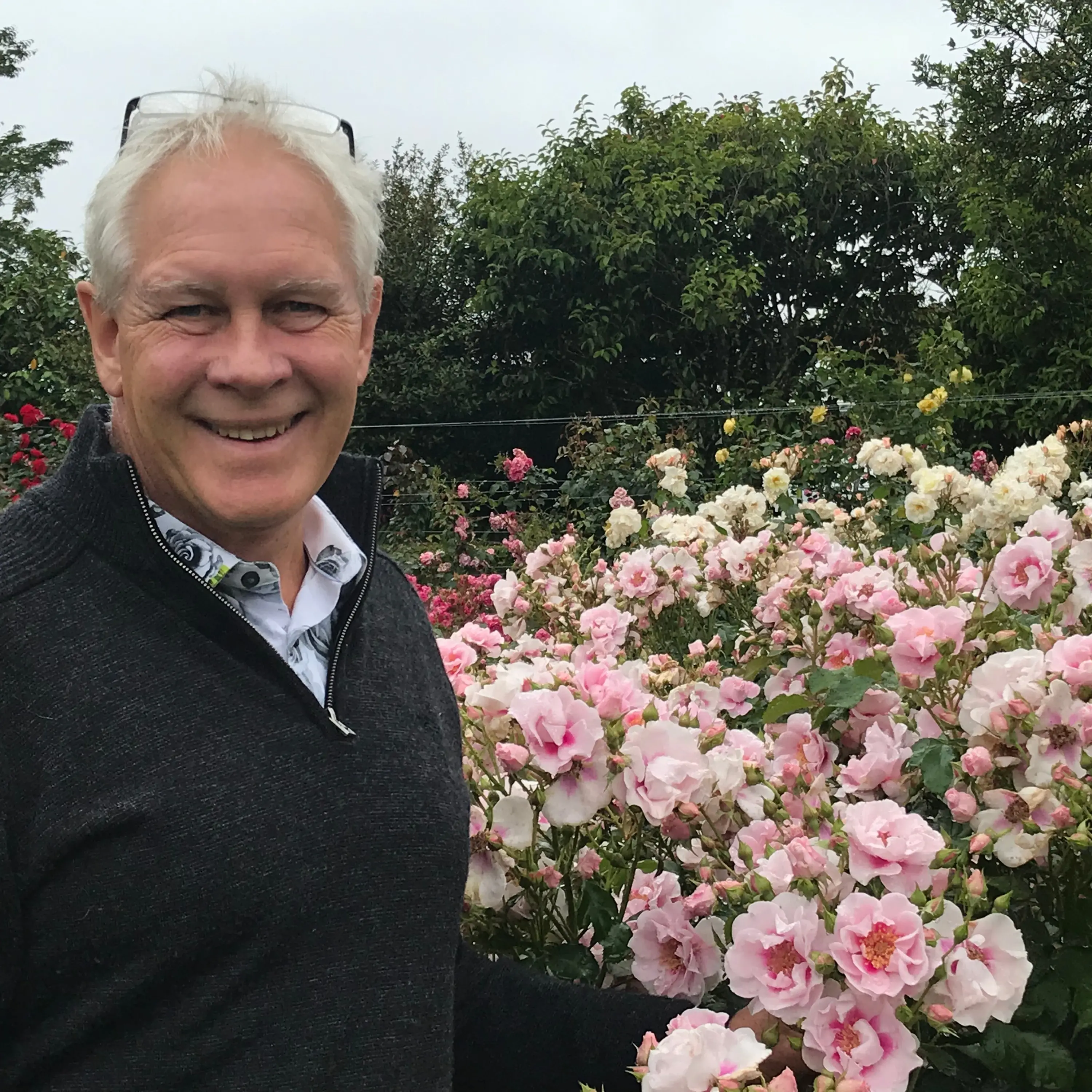 Putting roses to the test