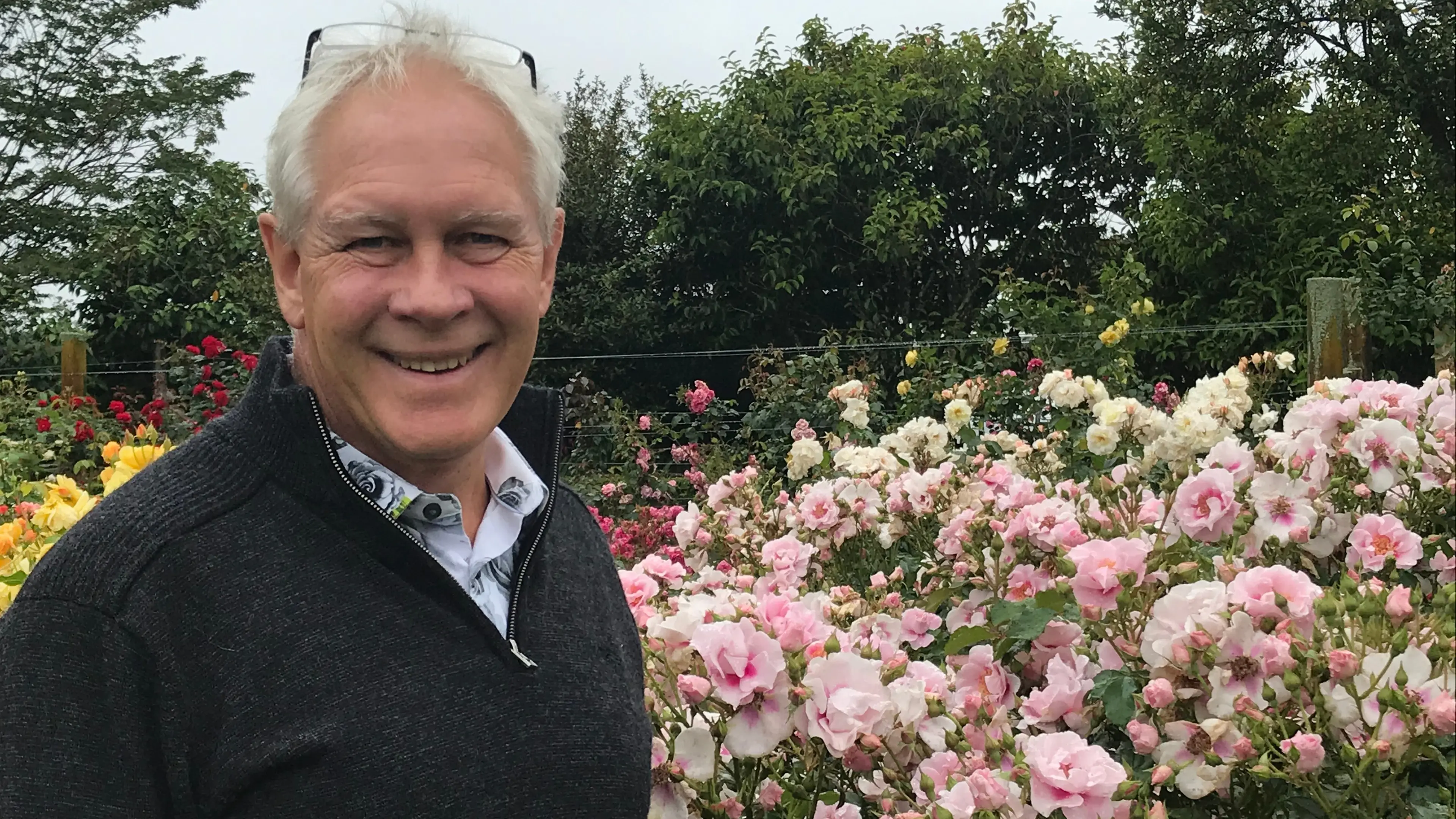 Putting roses to the test