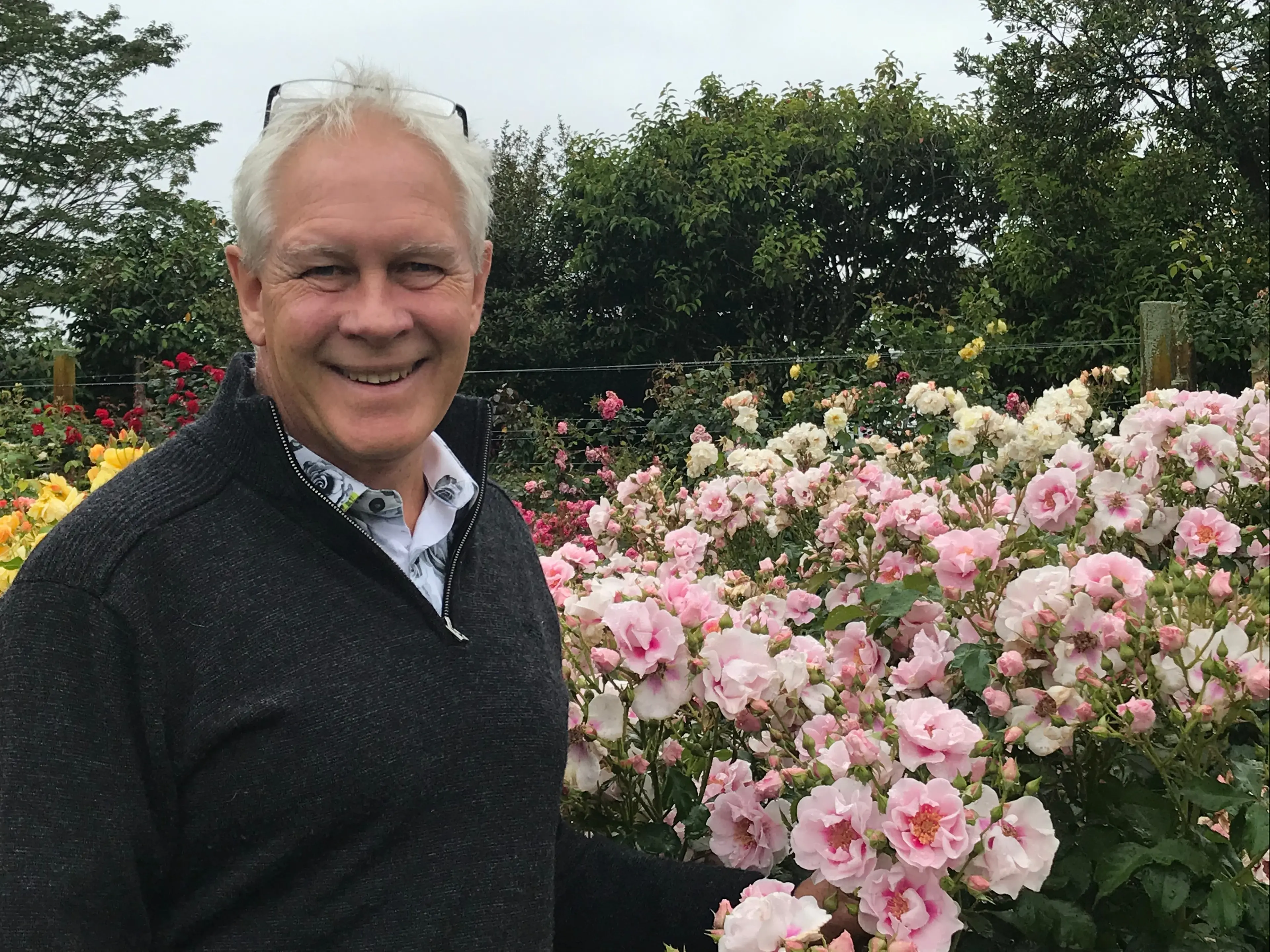 Putting roses to the test