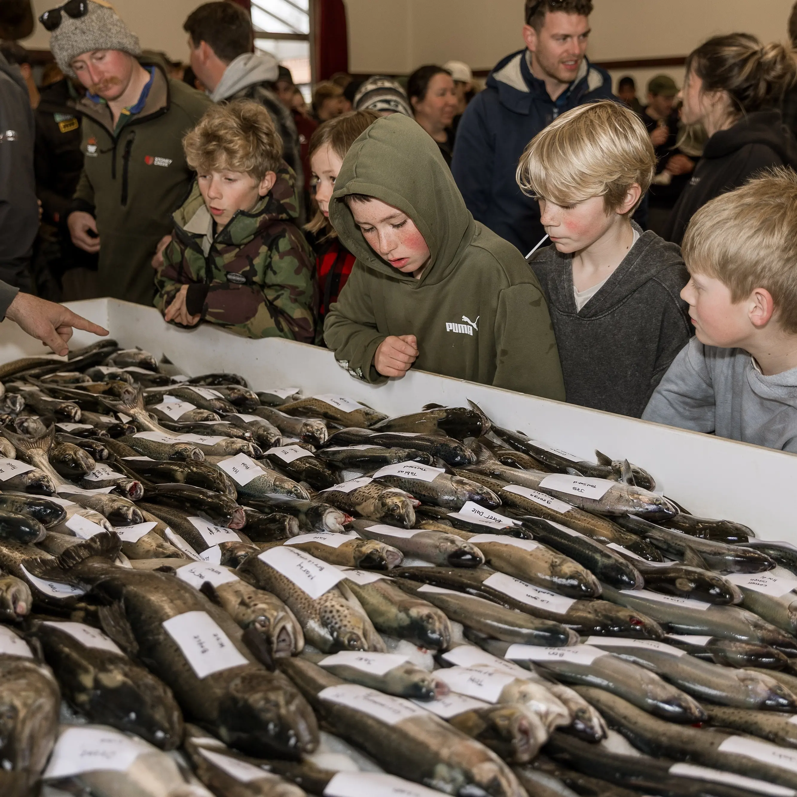 Big fish and tall tales in Glenorchy