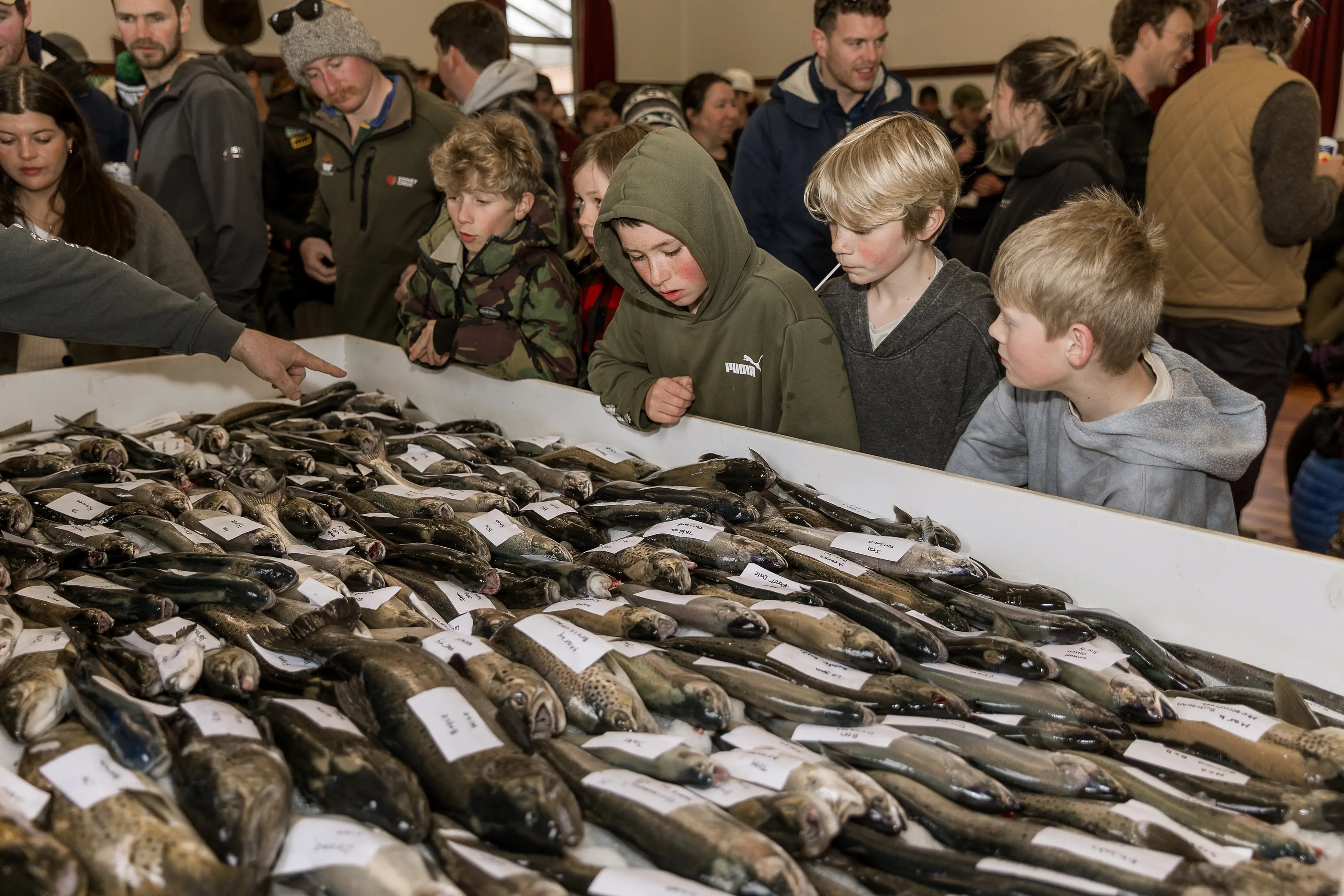 Hooked: Young anglers assess the quality of salmon and trout caught during last year\\u2019s Glenorchy Fishing Competition. Photo: Susan Miller Photography