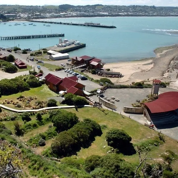Oamaru Penguins and North Otago Rugby team up to prevent tourist scrum