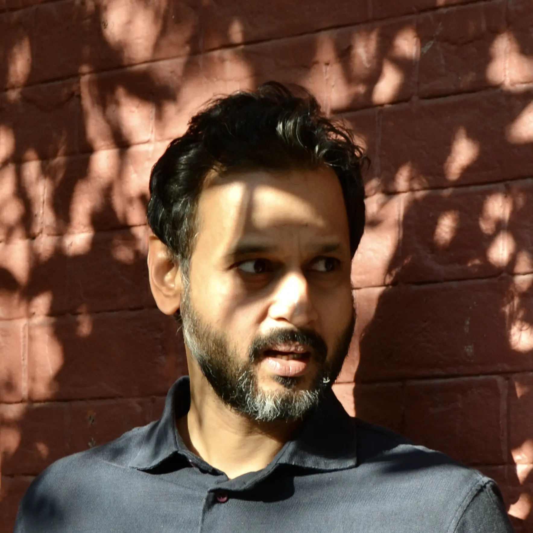 Review: Evocative prose mirrors Indian nation-building