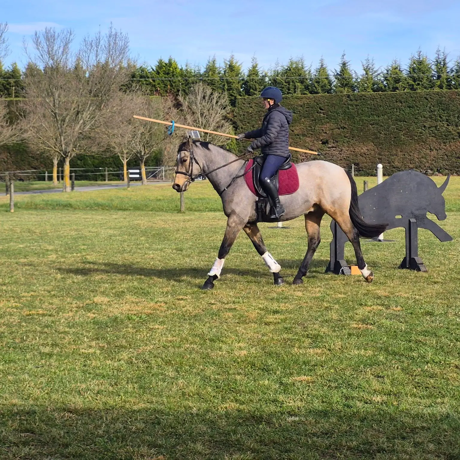 Judges clinic for working equitation training programme