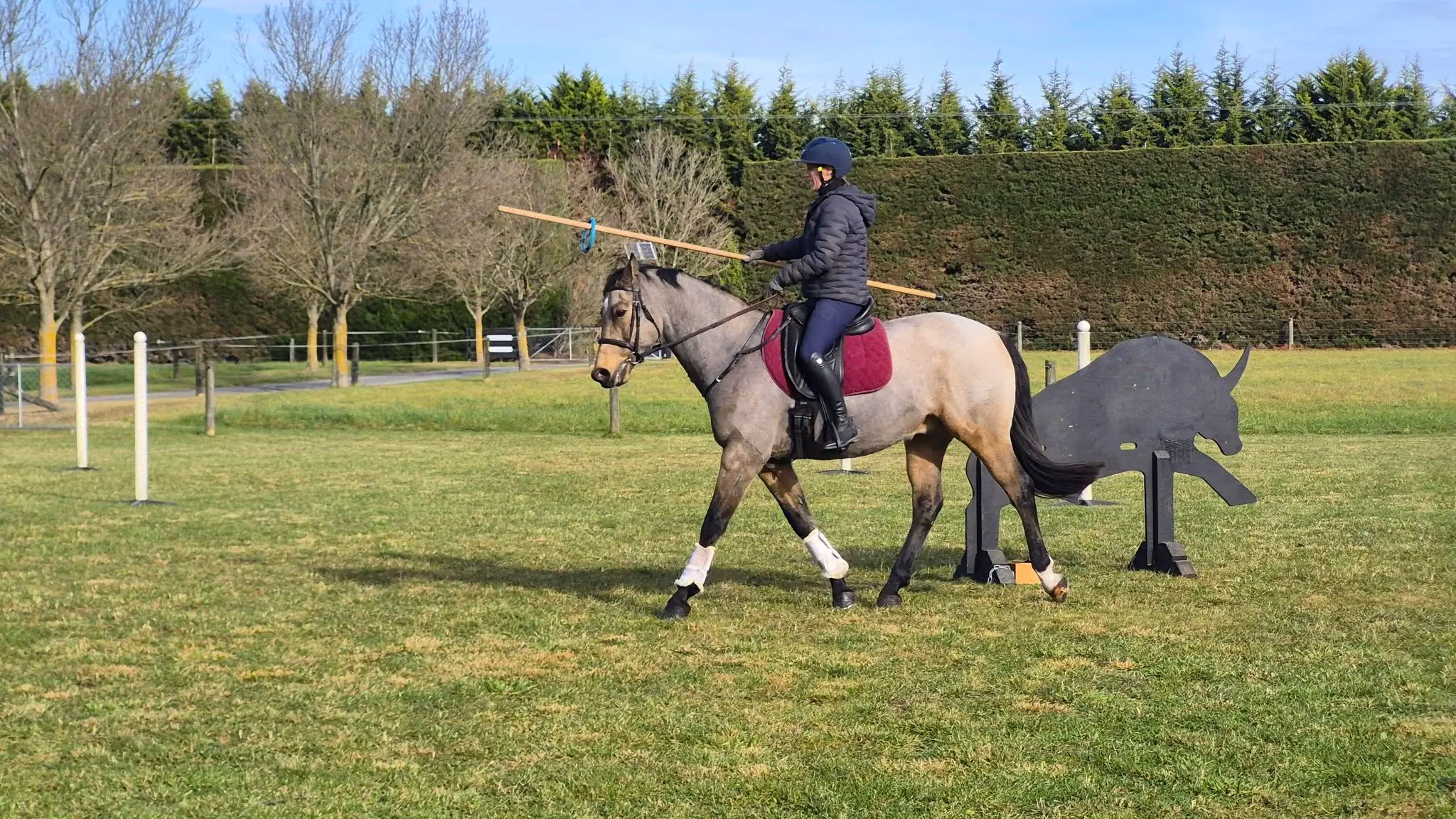 Judges clinic for working equitation training programme
