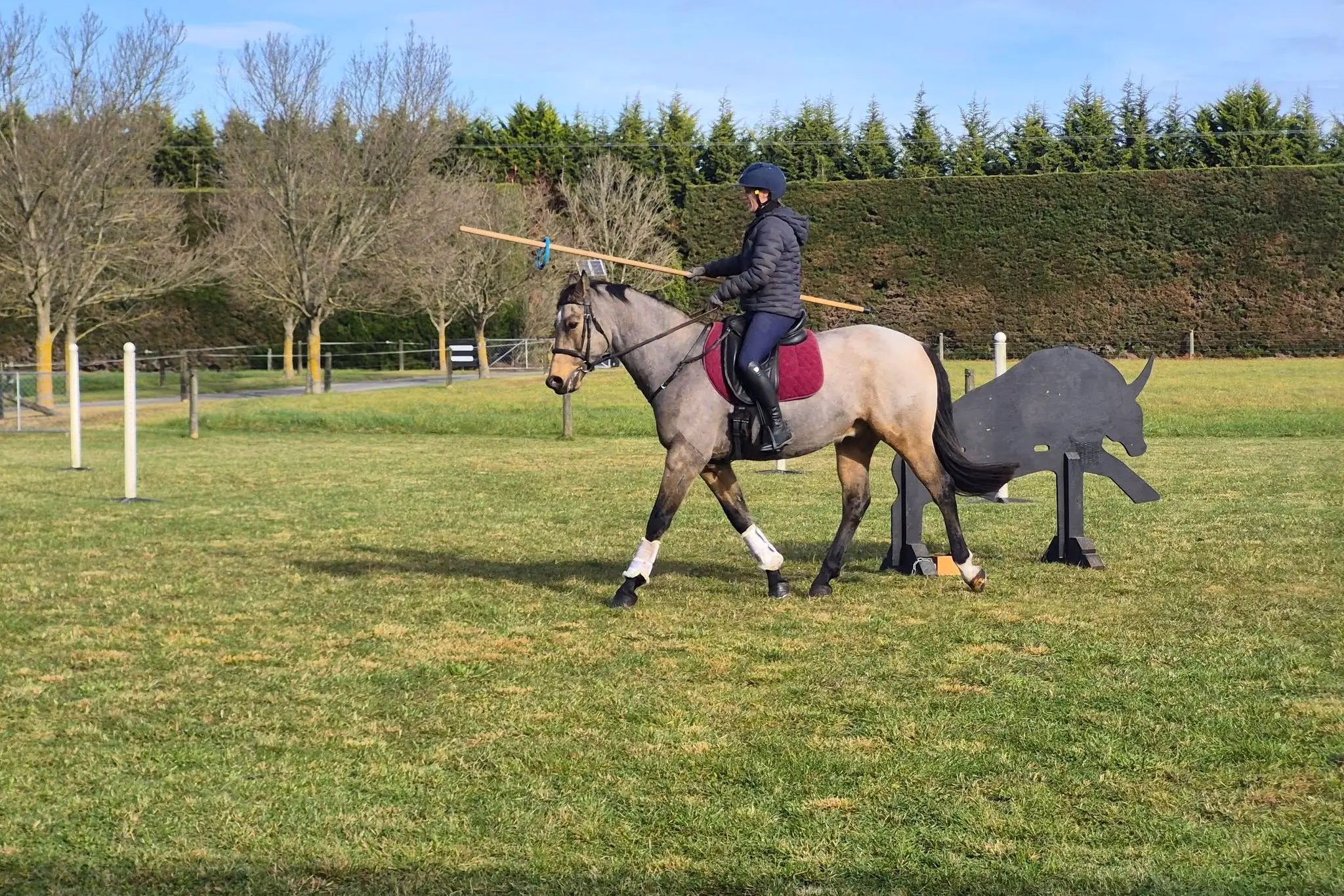 Working equitation . . . A participant goes through her paces at a recent event. Photo: Supplied