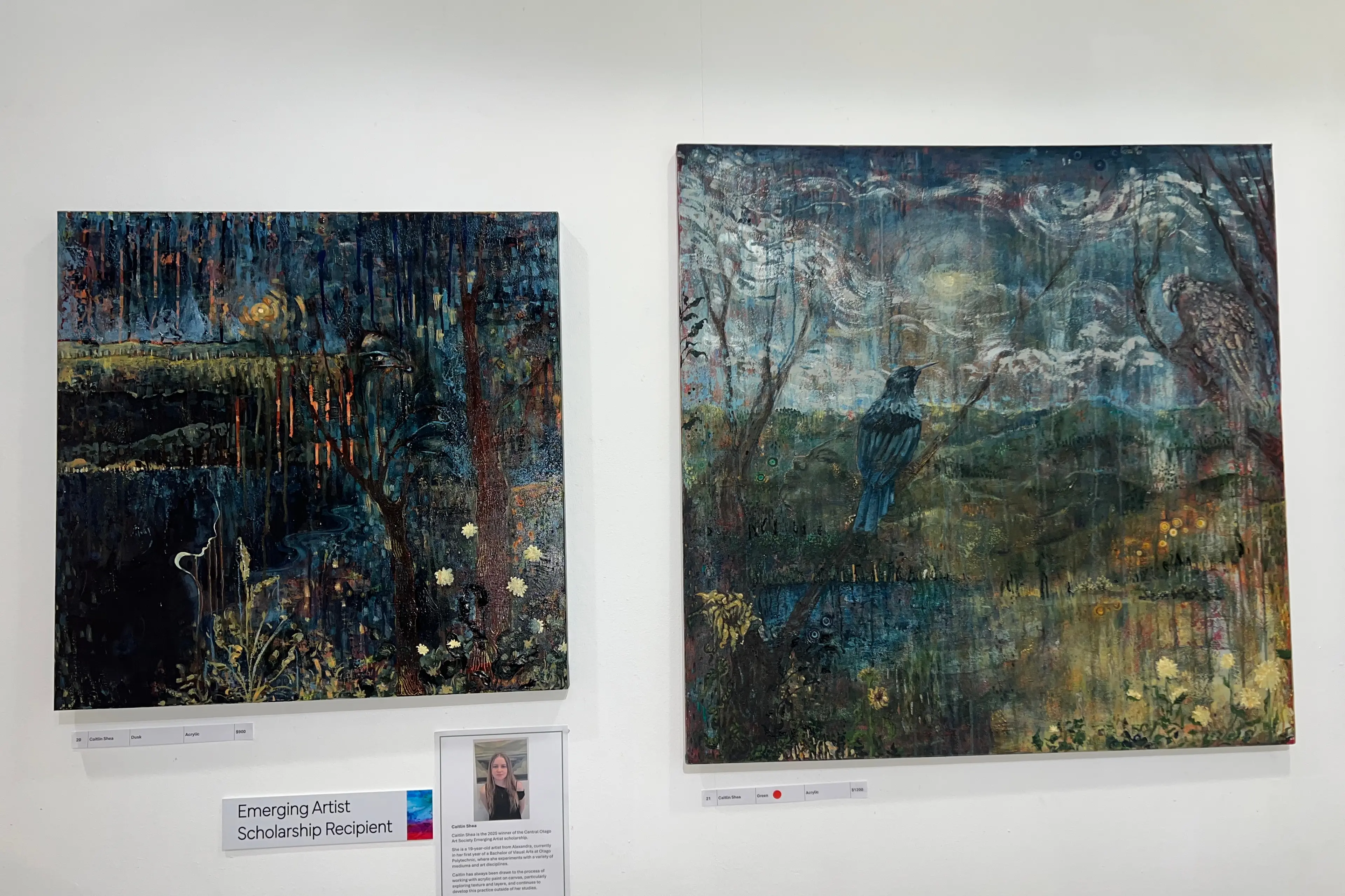 The artwork of Caitlin Shea, 19, on display at Central Stories, as part of the Blossom Festival Exhibition. Photo: Carys Trotter