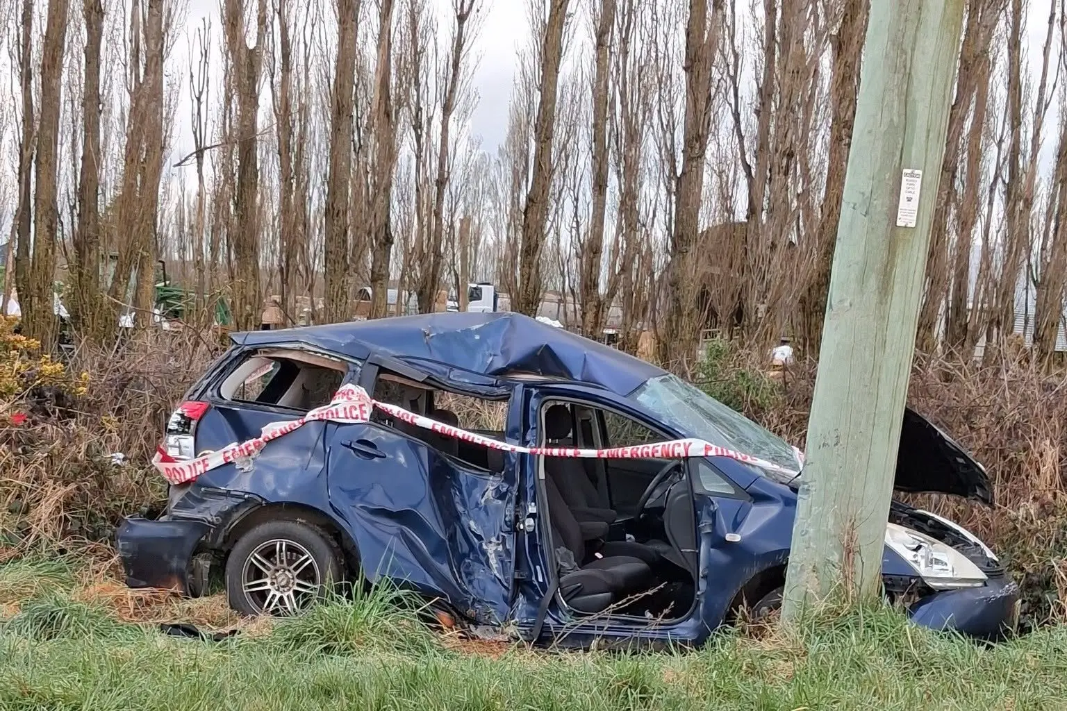 The driver lost control of his vehicle on Wakanui Road, Elgin last Tuesday and collied with a power pole. Photo: Facebook