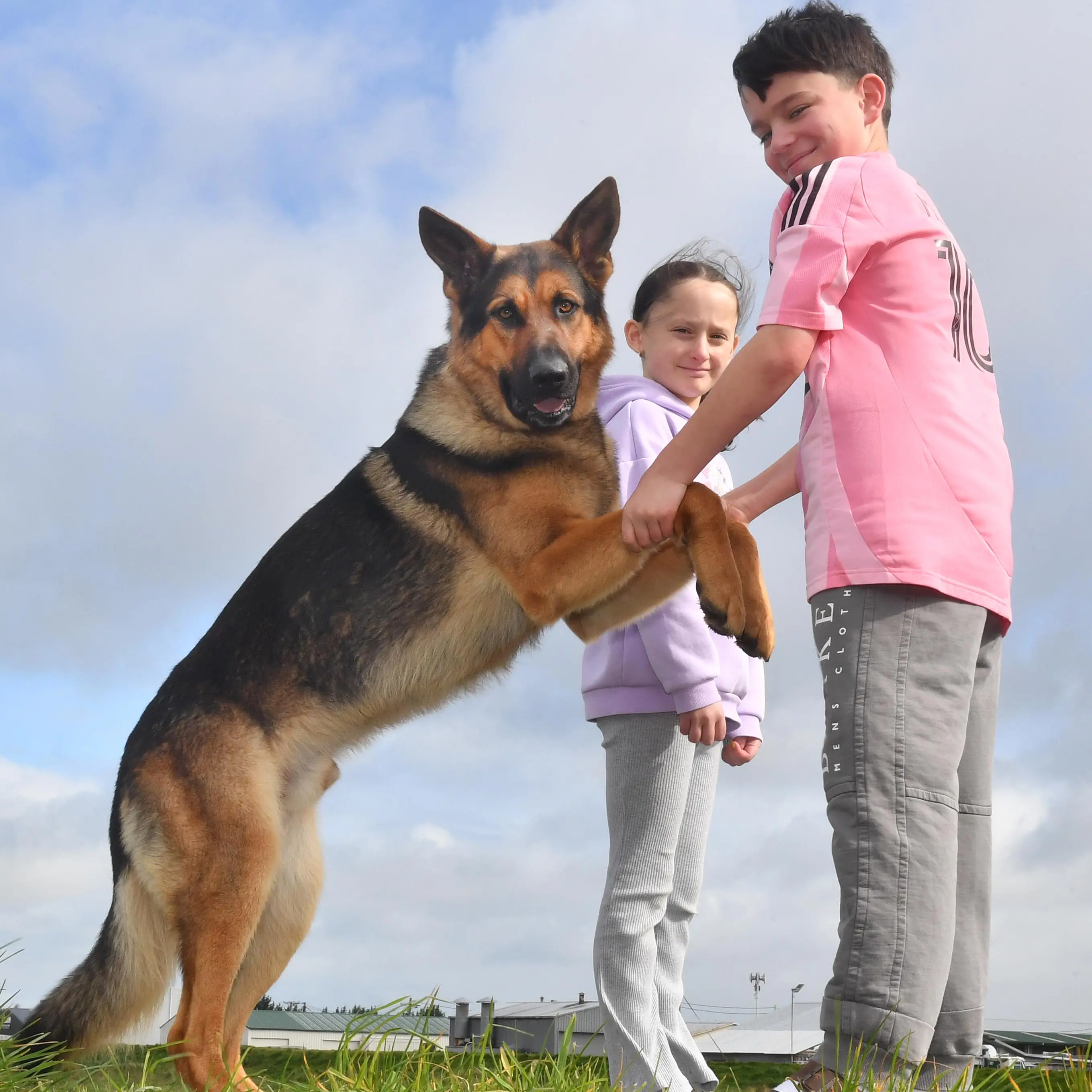 Oscar worthy: Invercargill dog in starring role beside Brad Pitt