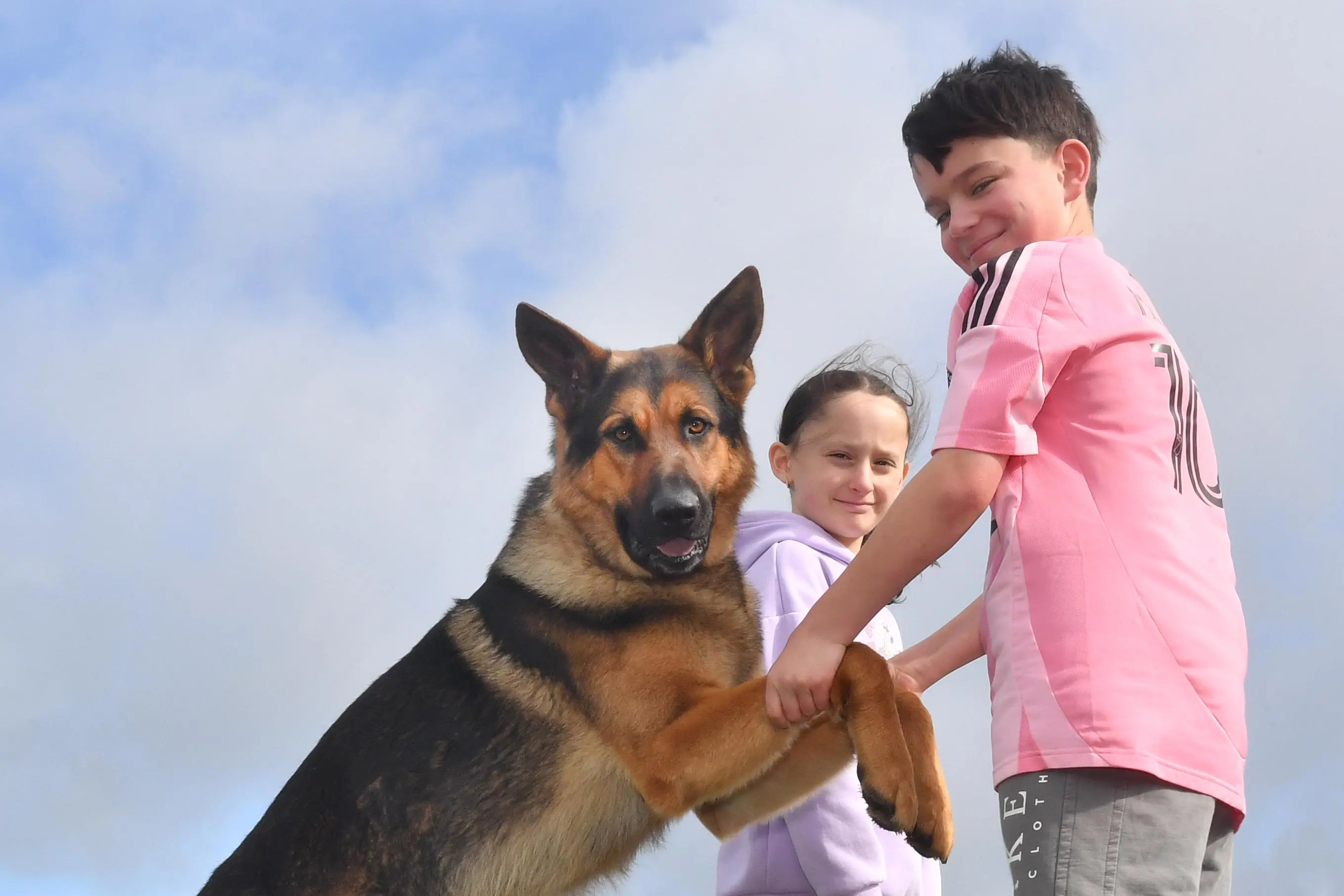 Oscar worthy: Invercargill dog in starring role beside Brad Pitt
