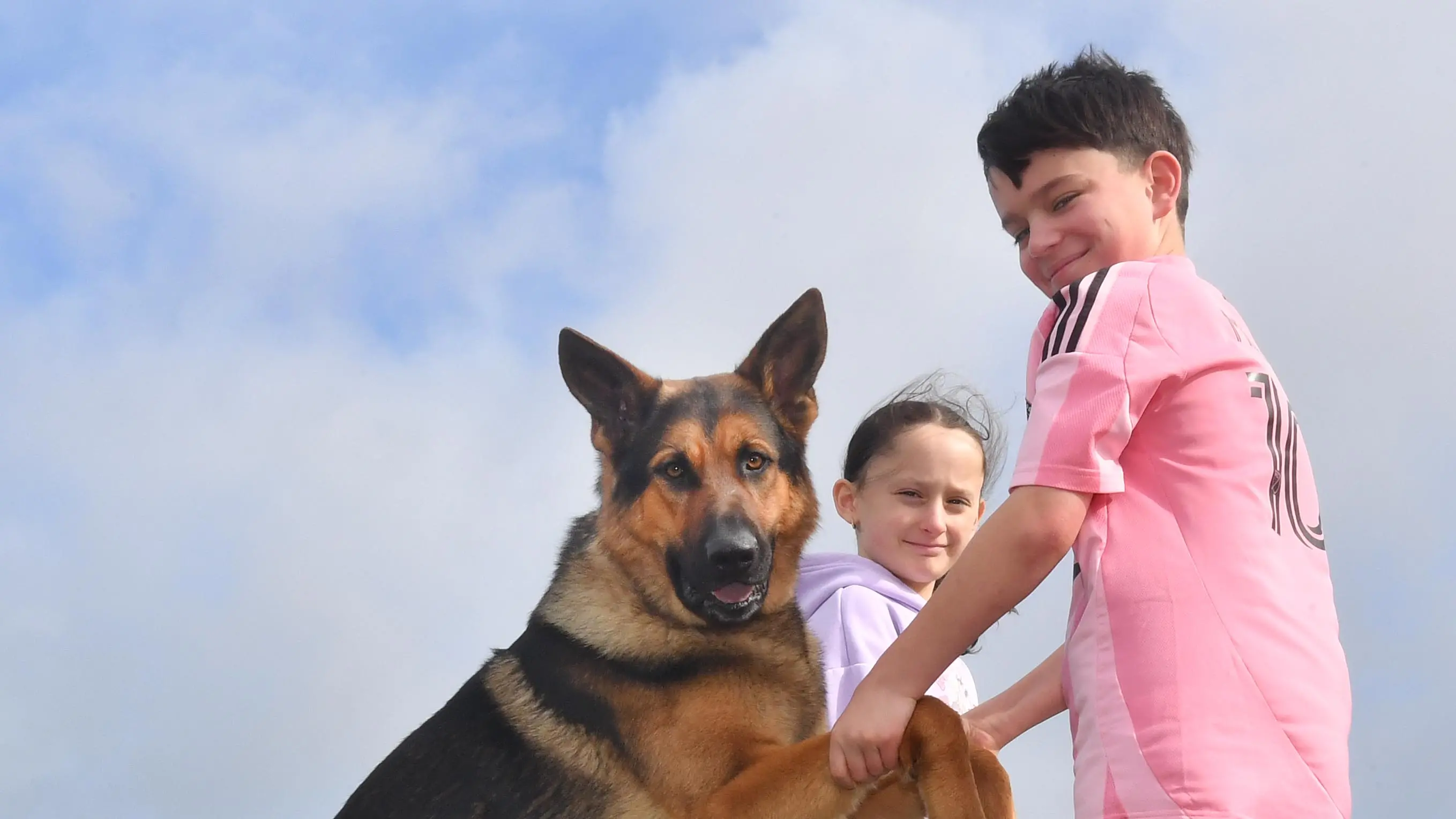 Invercargill movie star dog so famous it's had to go into hiding