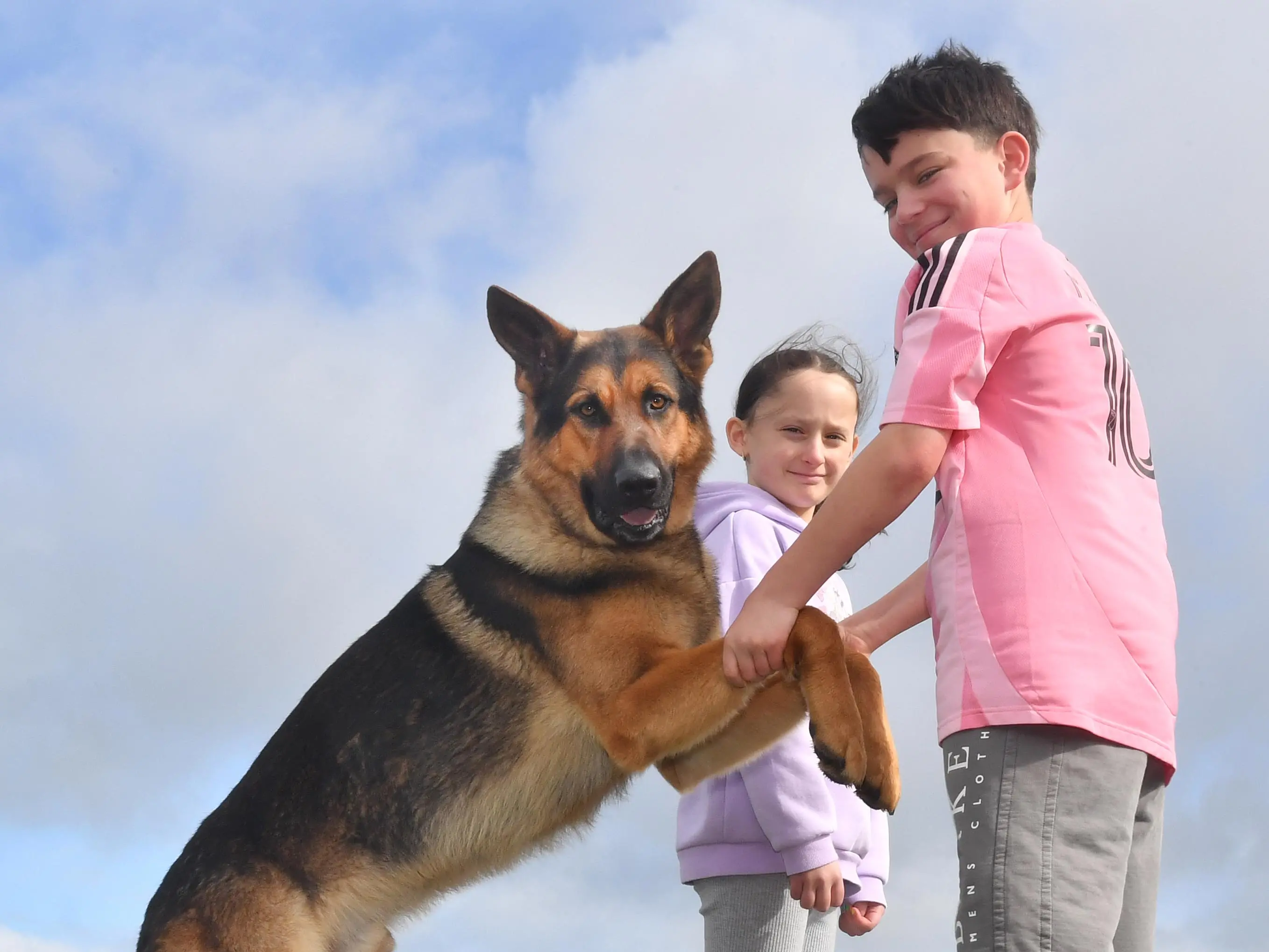 Invercargill movie star dog so famous it's had to go into hiding