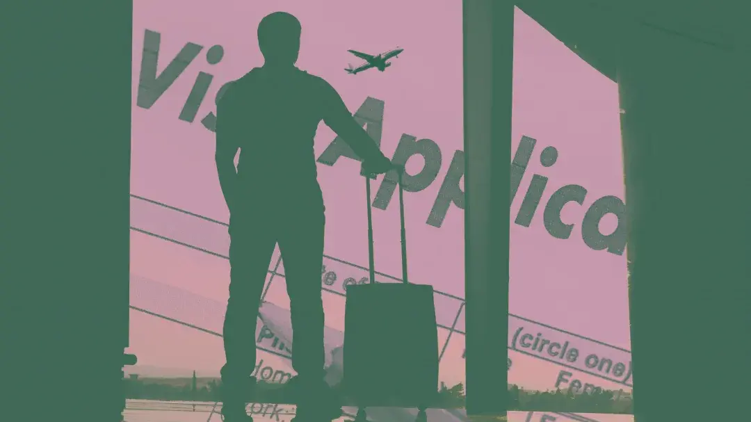 Rogue immigration system approved visas