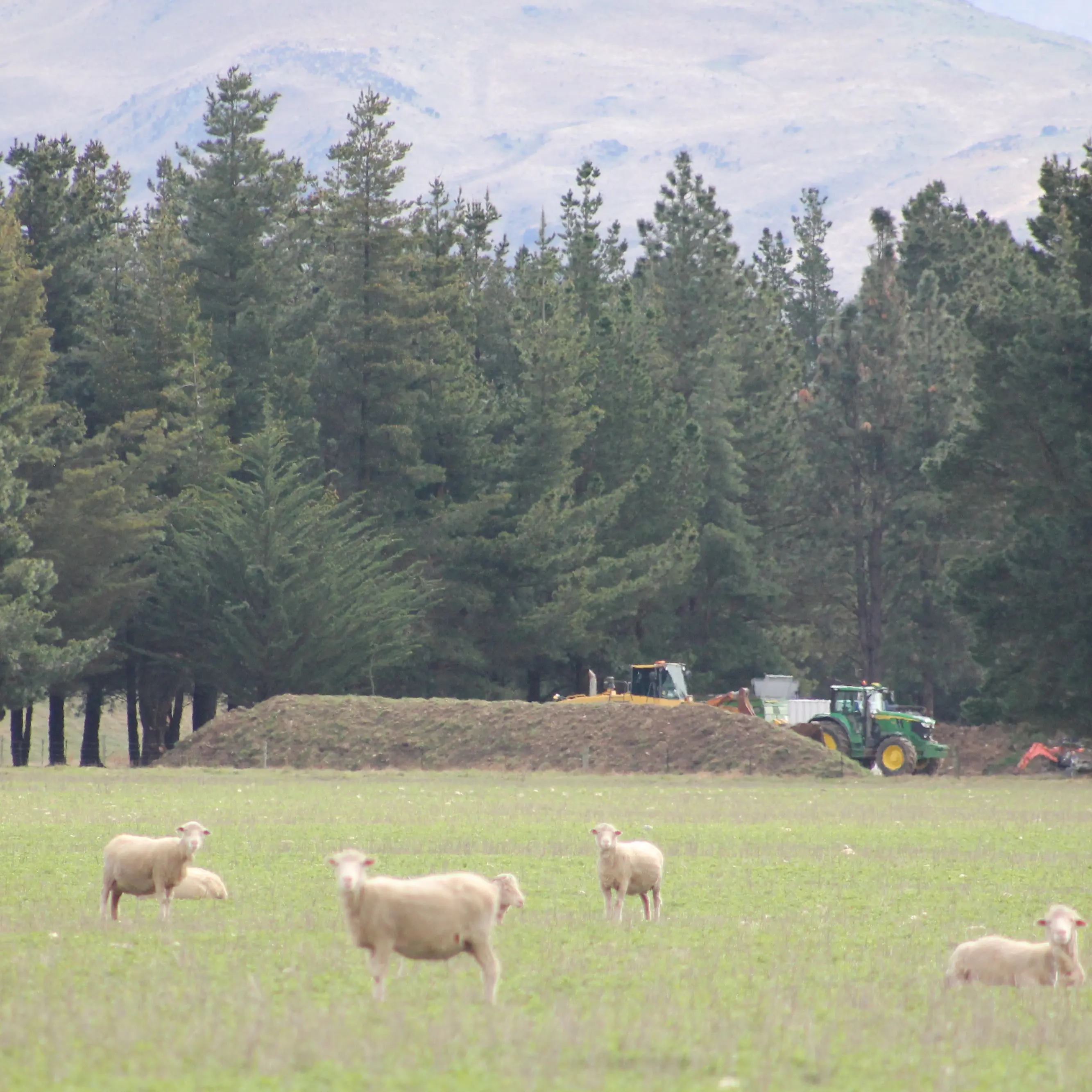 Central Otago can’t dump human waste in its backyard because Queenstown got there first