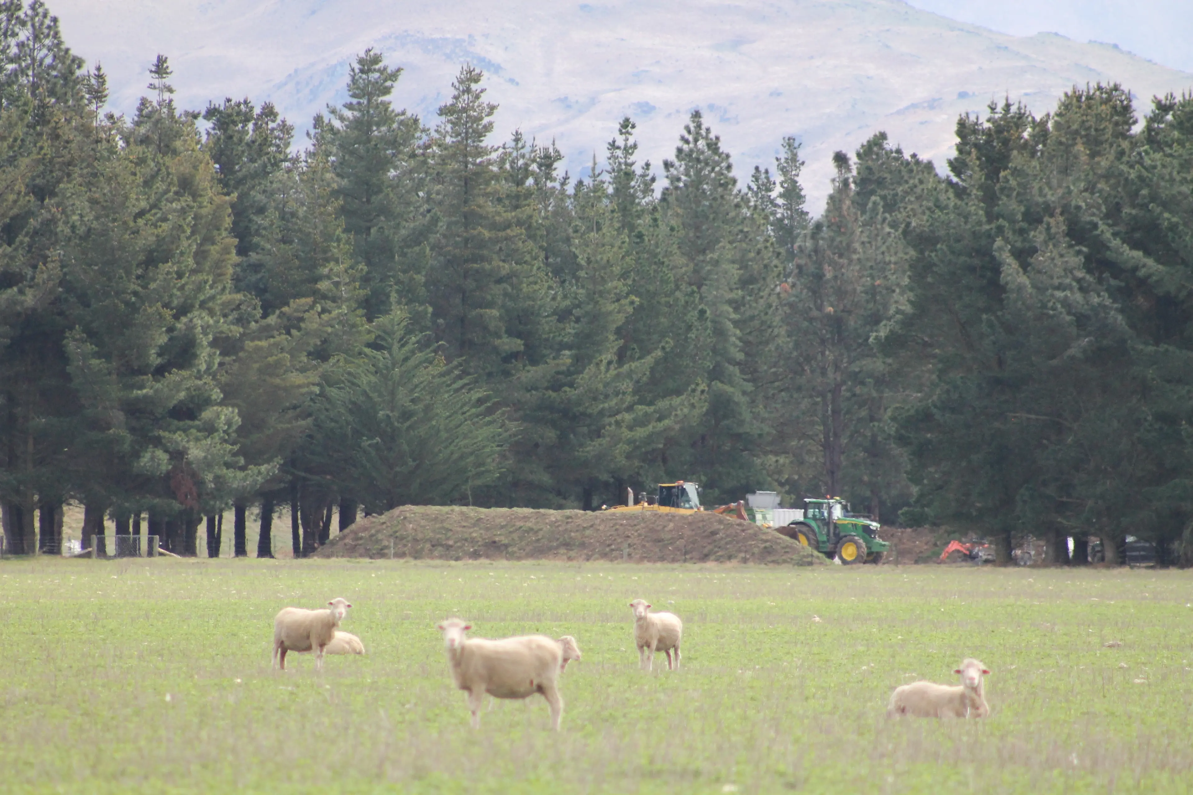 Waste is discharged to land in Lauder. Photo: Ruairi O\\'Shea