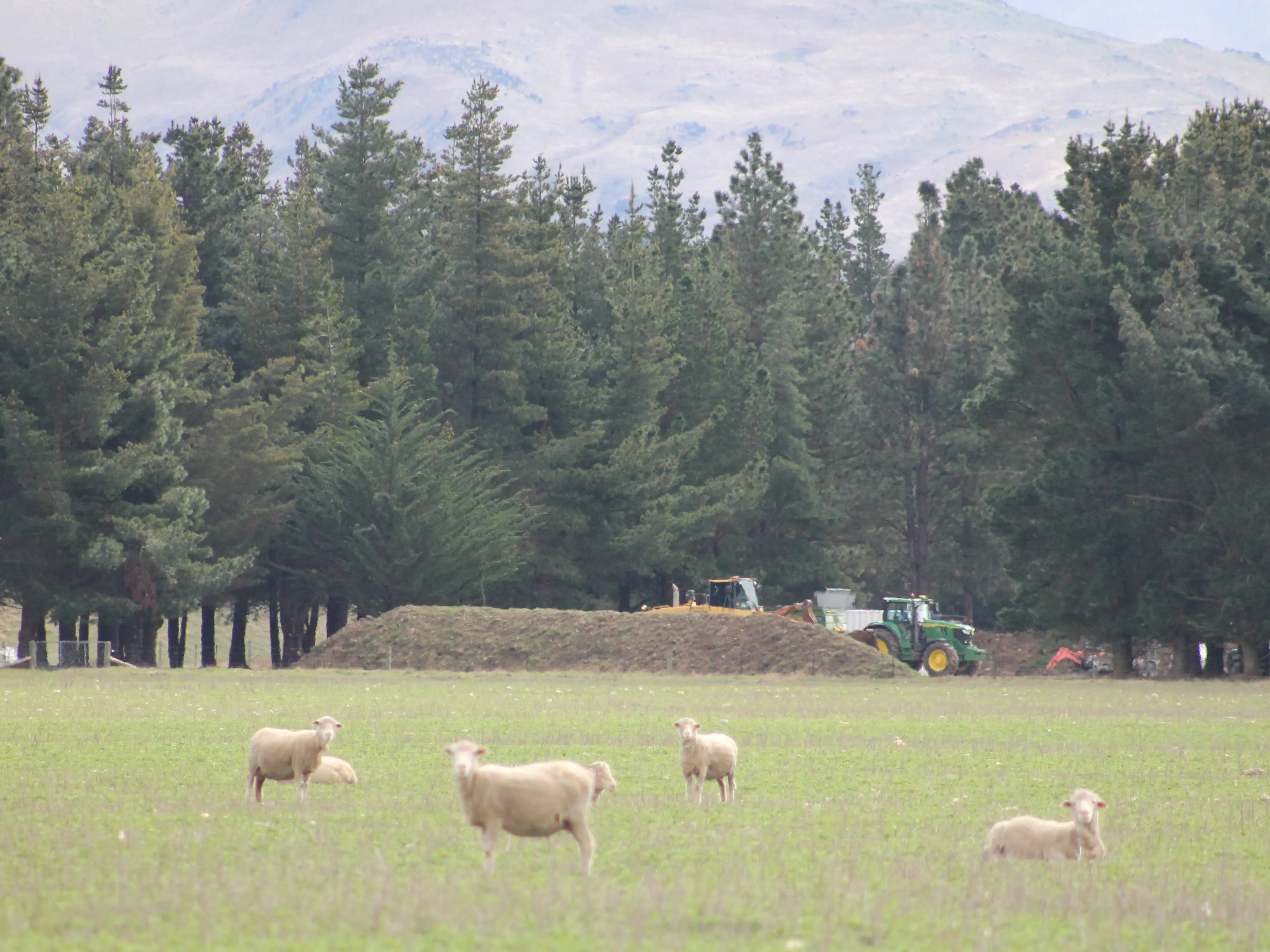 Central Otago can’t dump human waste in its backyard because Queenstown got there first