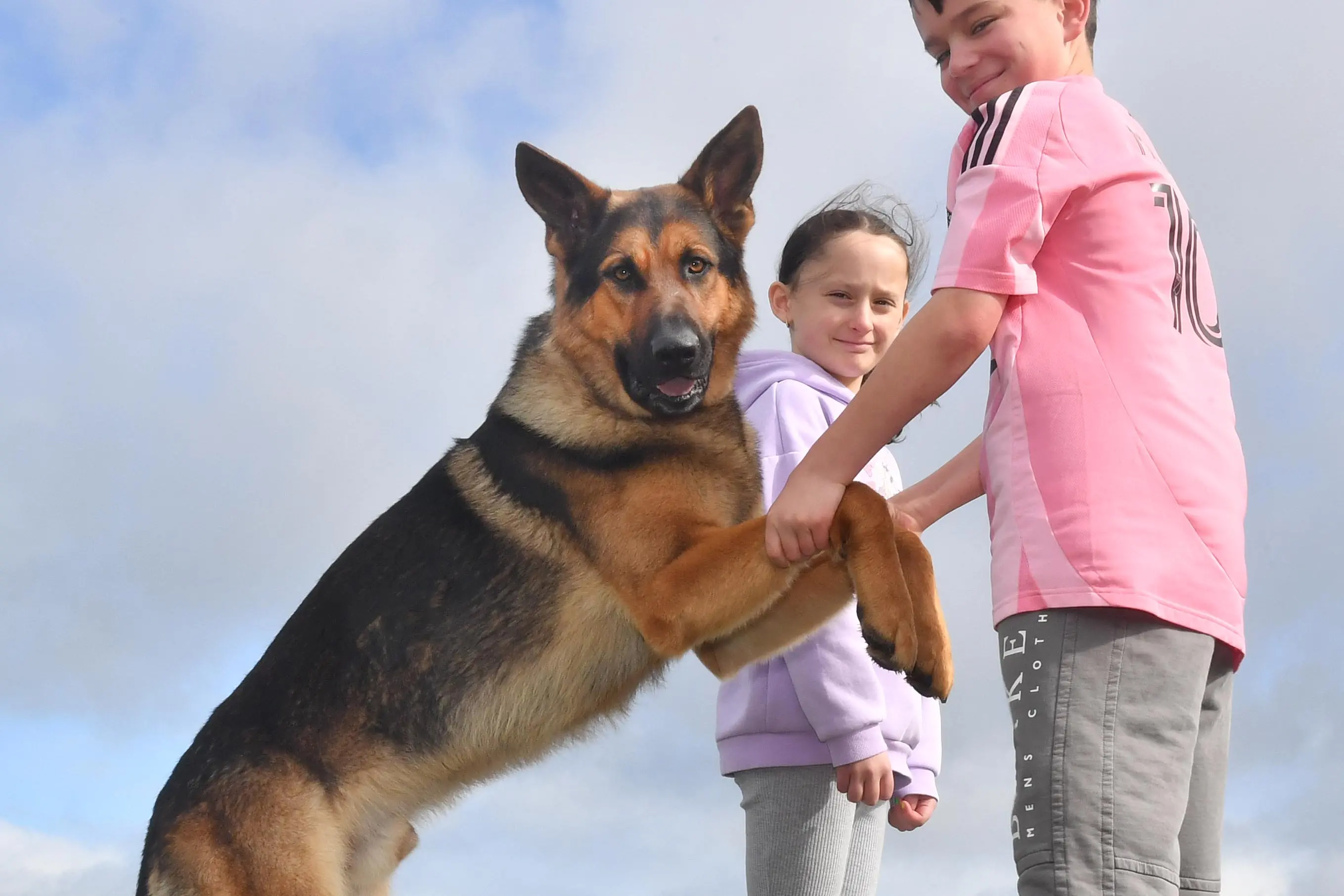 Brad Pitt extra, Hondo, is now so famous he has gone into hiding. But the international film star always has time to play with his Invercargill family. Photo: Stephen Jaquiery