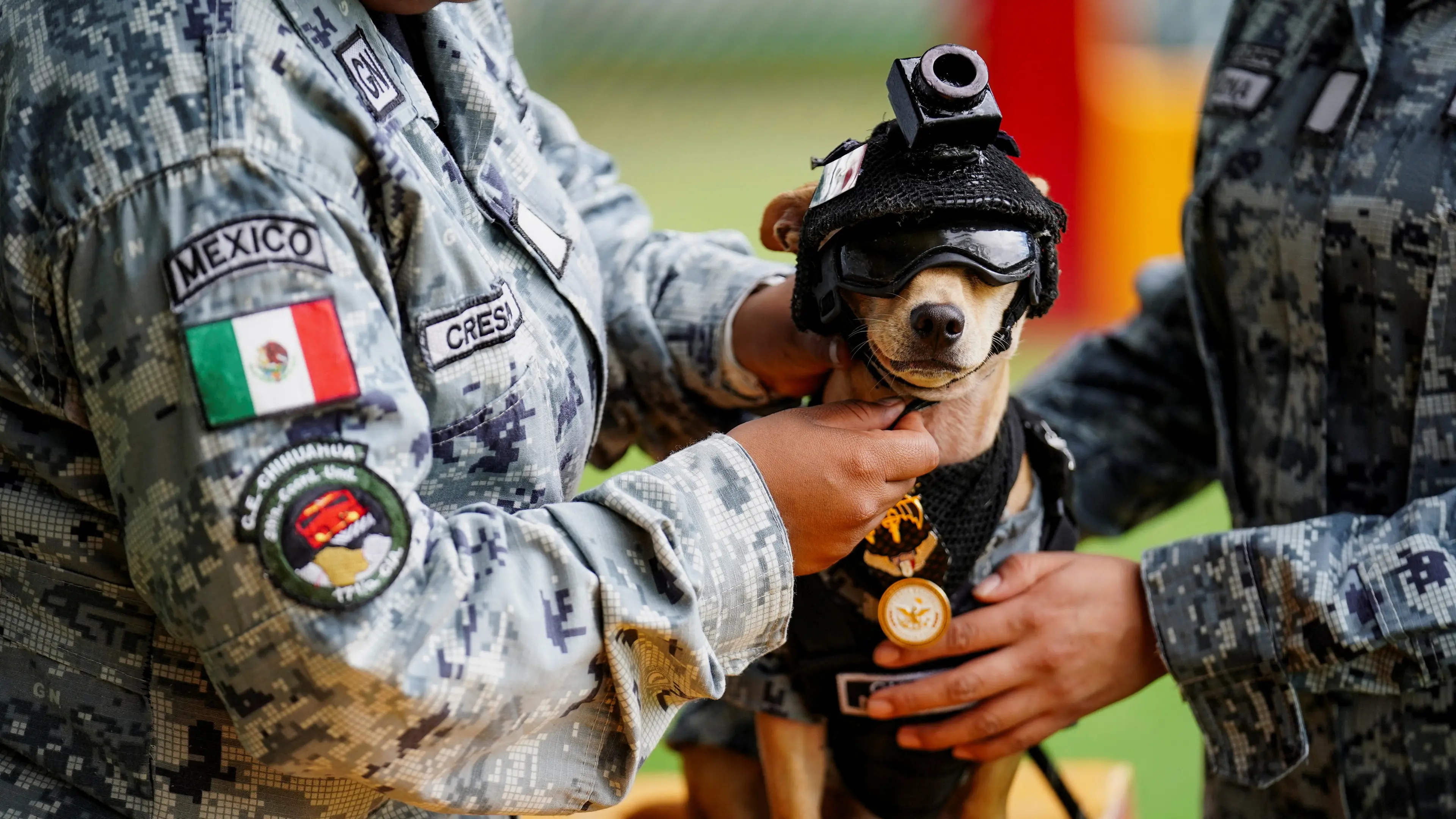 Going Comando: Diminutive dog debuts for National Guard