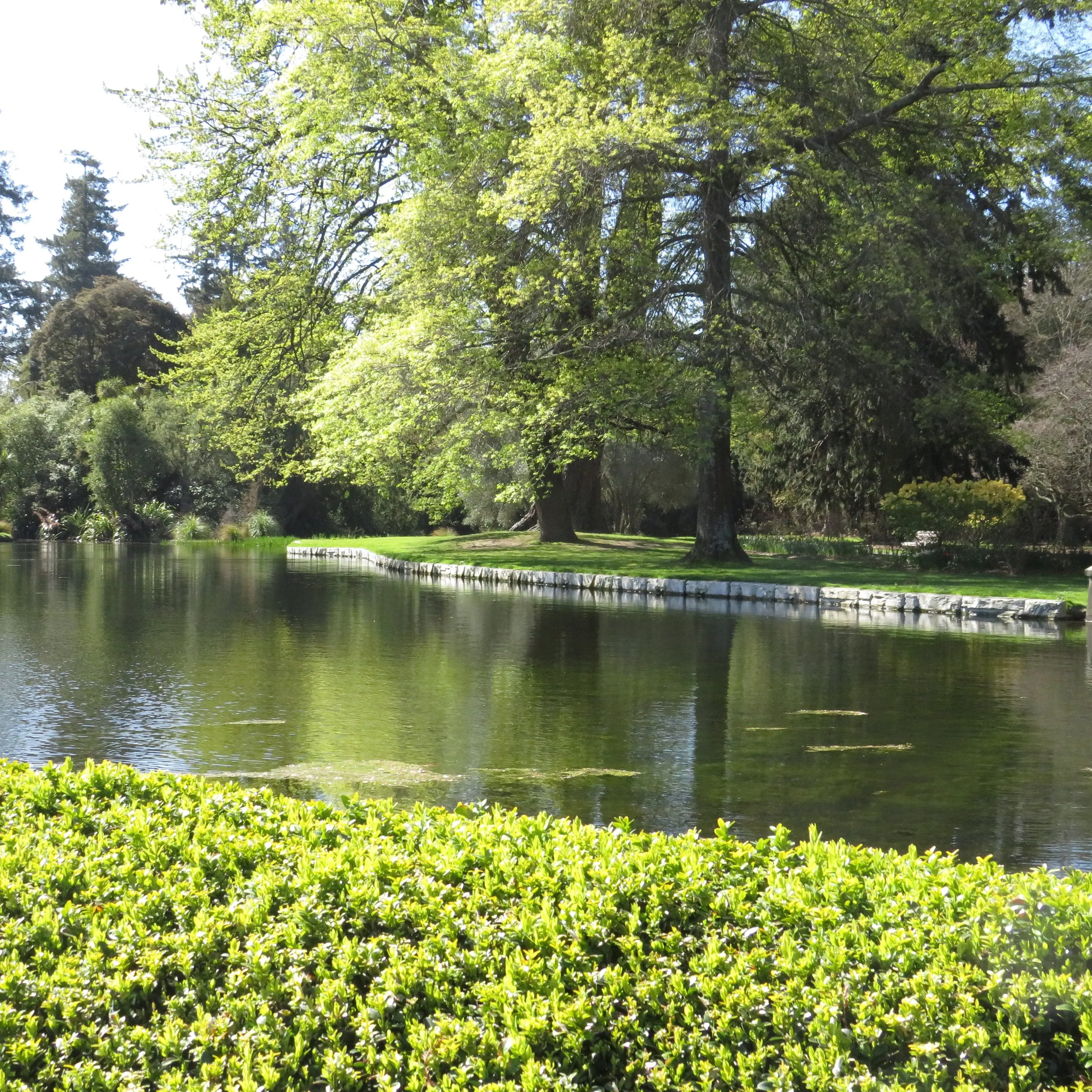 Stockwater exit could leave Ashburton Domain pond high and dry