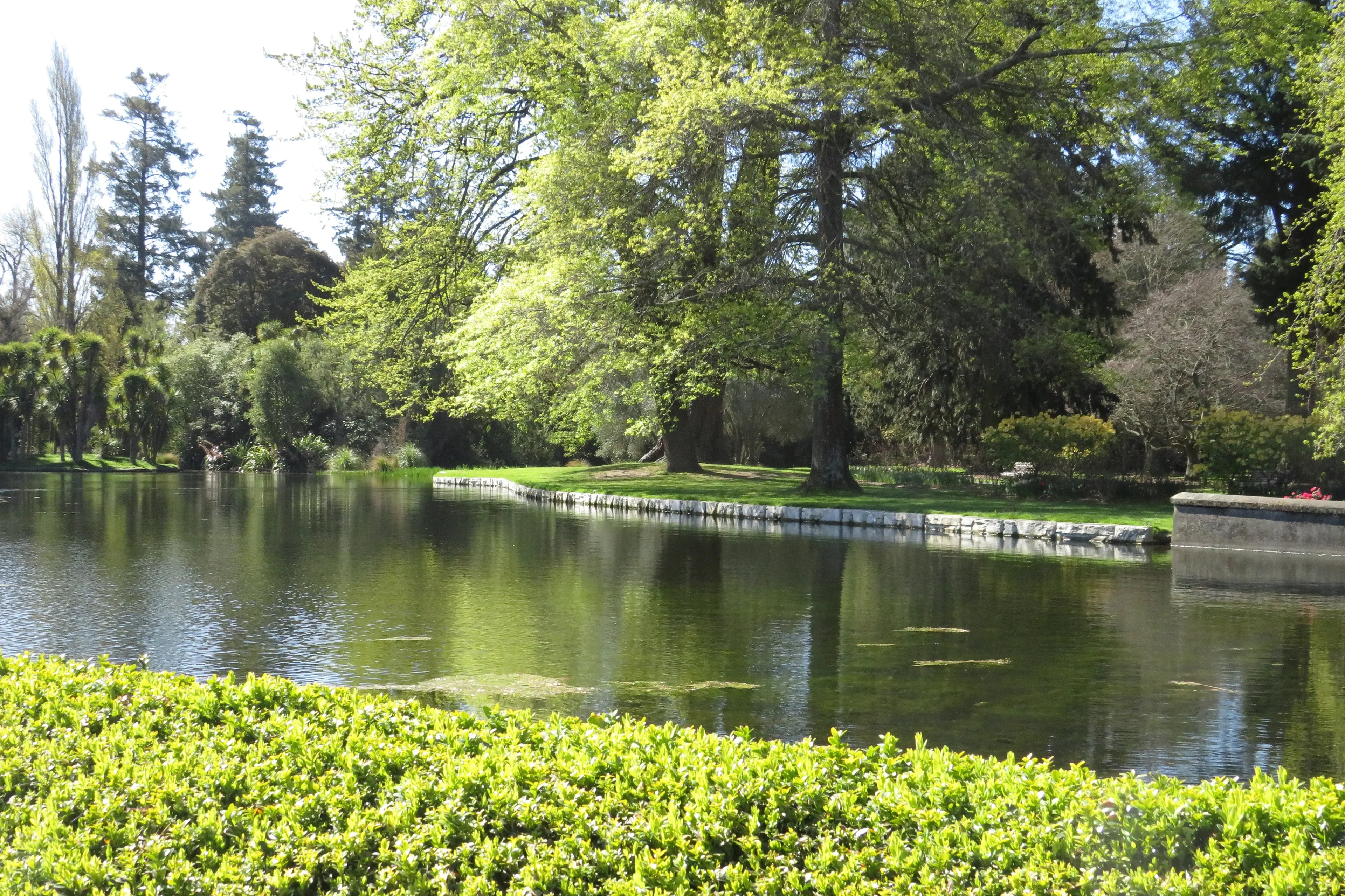 Ponds in the Ashburton Domain could be under threat with the potential closure of the Winchmore intake water that feeds it. Photo: Toni Williams