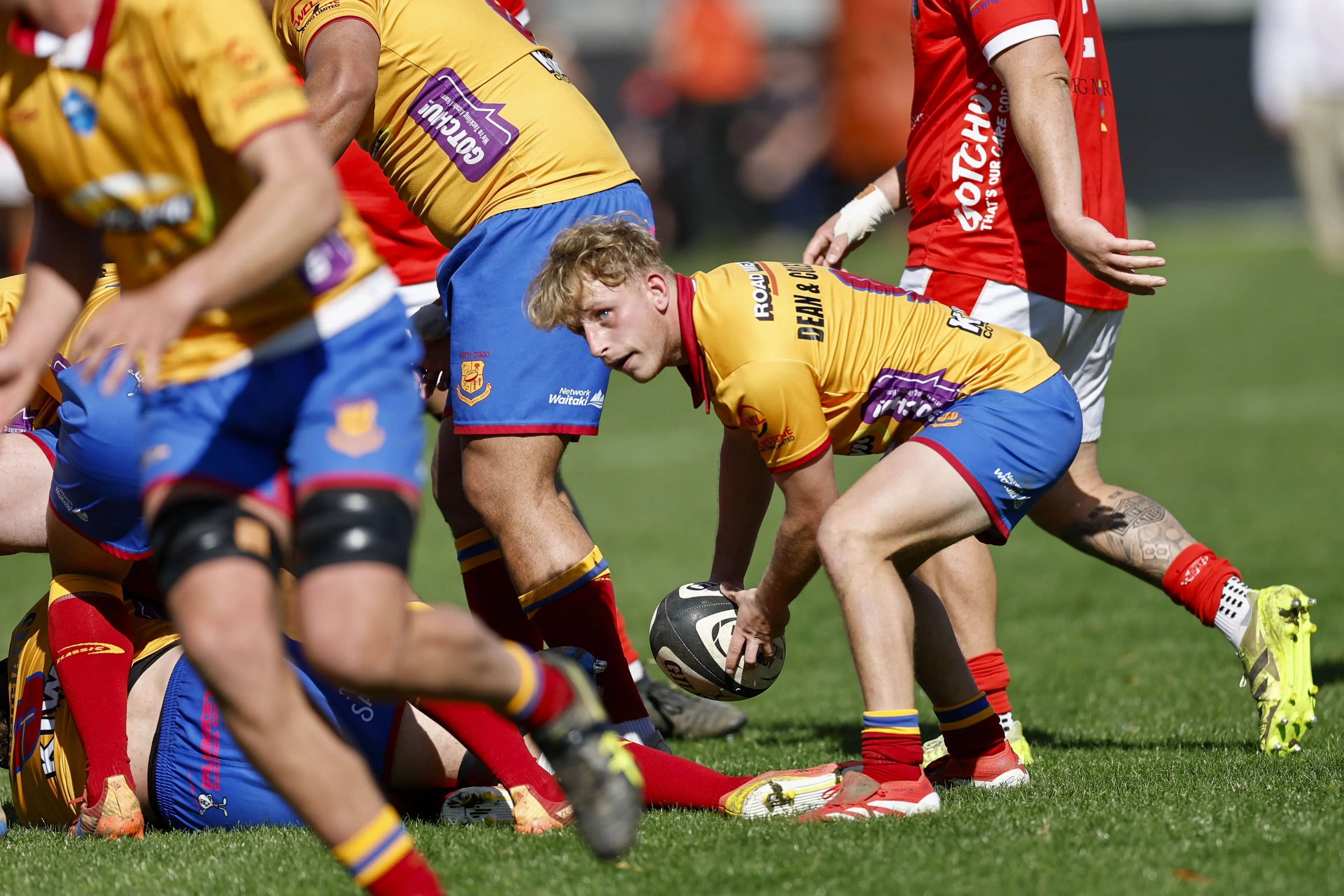 North Otago halfback Alfie Coop prepares to clear from a ruck during the Heartland Championship game against Poverty Bay in Gisborne. Photo: NZ Rugby/Smartframe