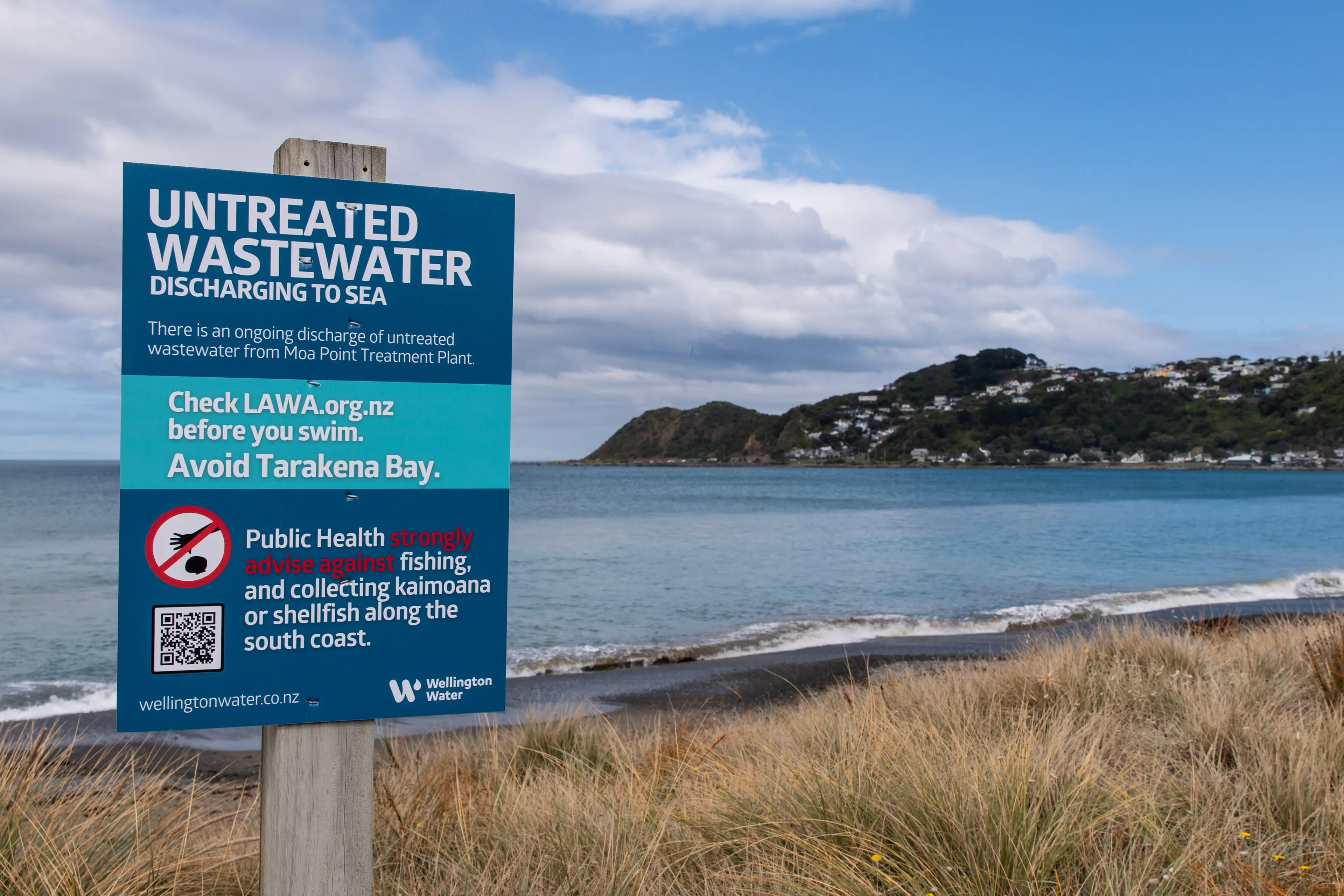 Wellington City Council says it acknowledges the seriousness of the impact on the environment, residents and businesses on the south coast. Photo: RNZ
