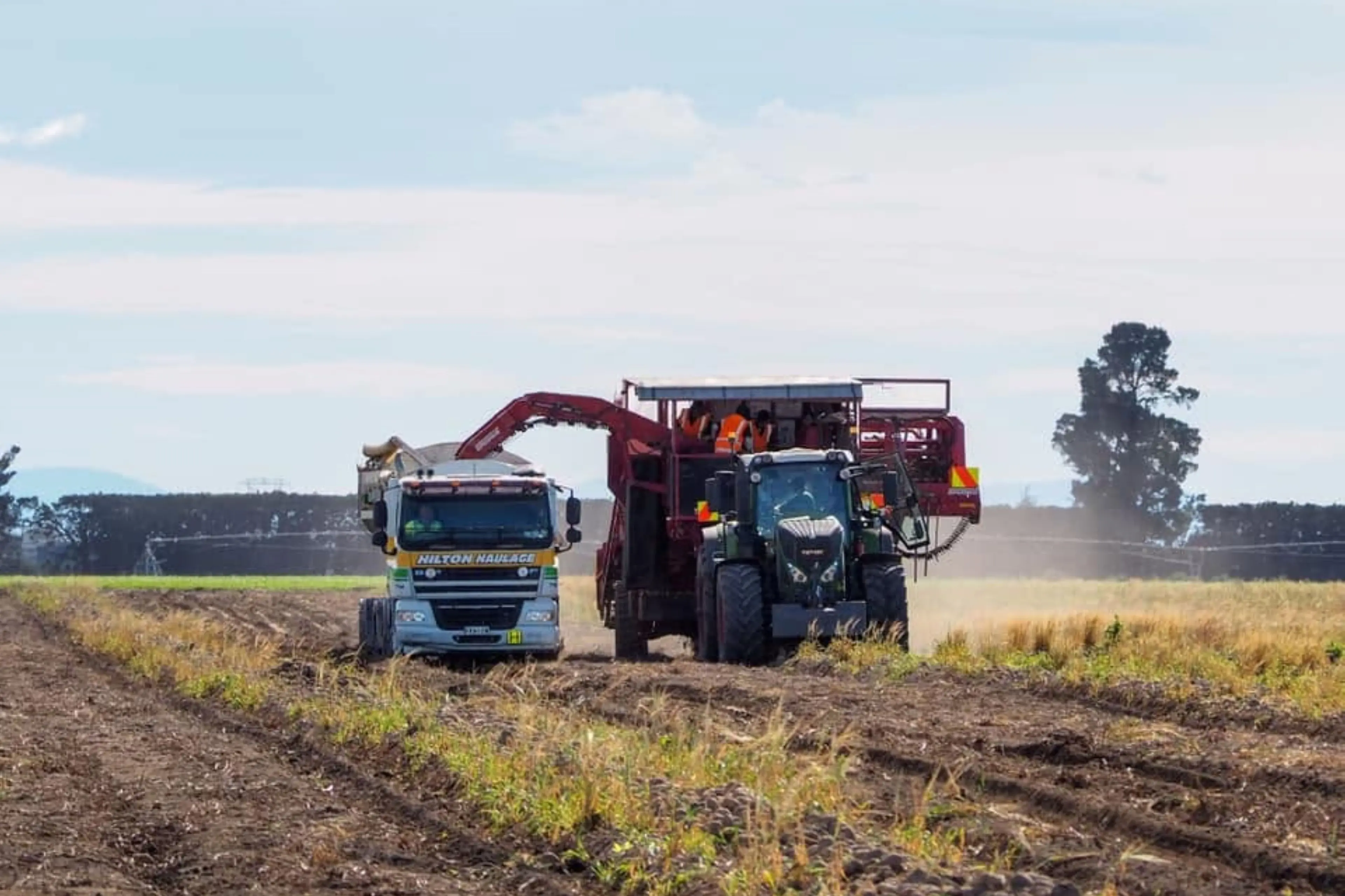 Harvesting of potatoes on the Hewson Farm. Photo: Hewson Farm Facebook page