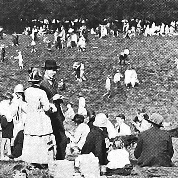 A multitude of picnickers