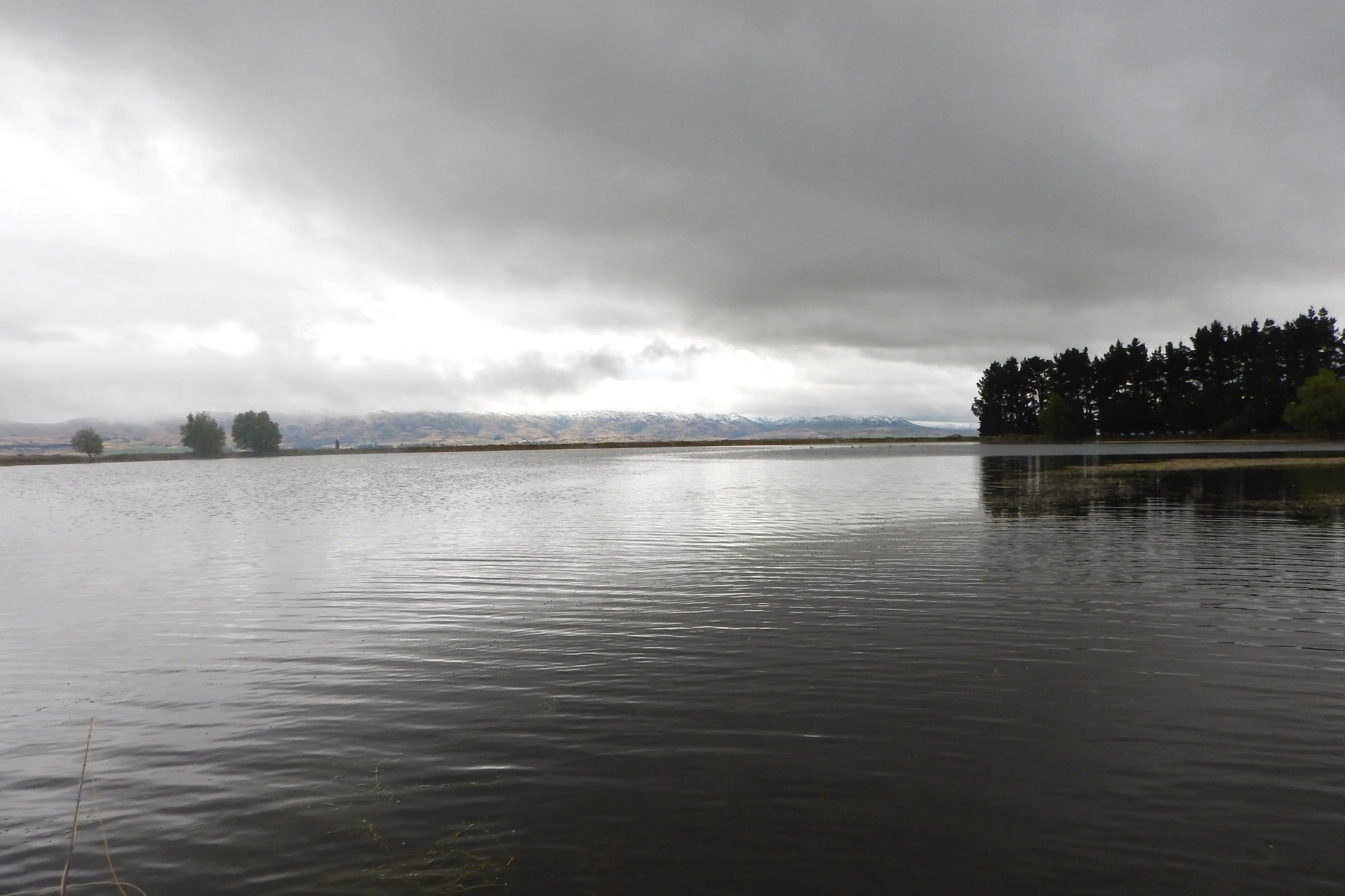 The odd fish was rising at Blakely\\u2019s Dam for the season\\'s opening weekend.