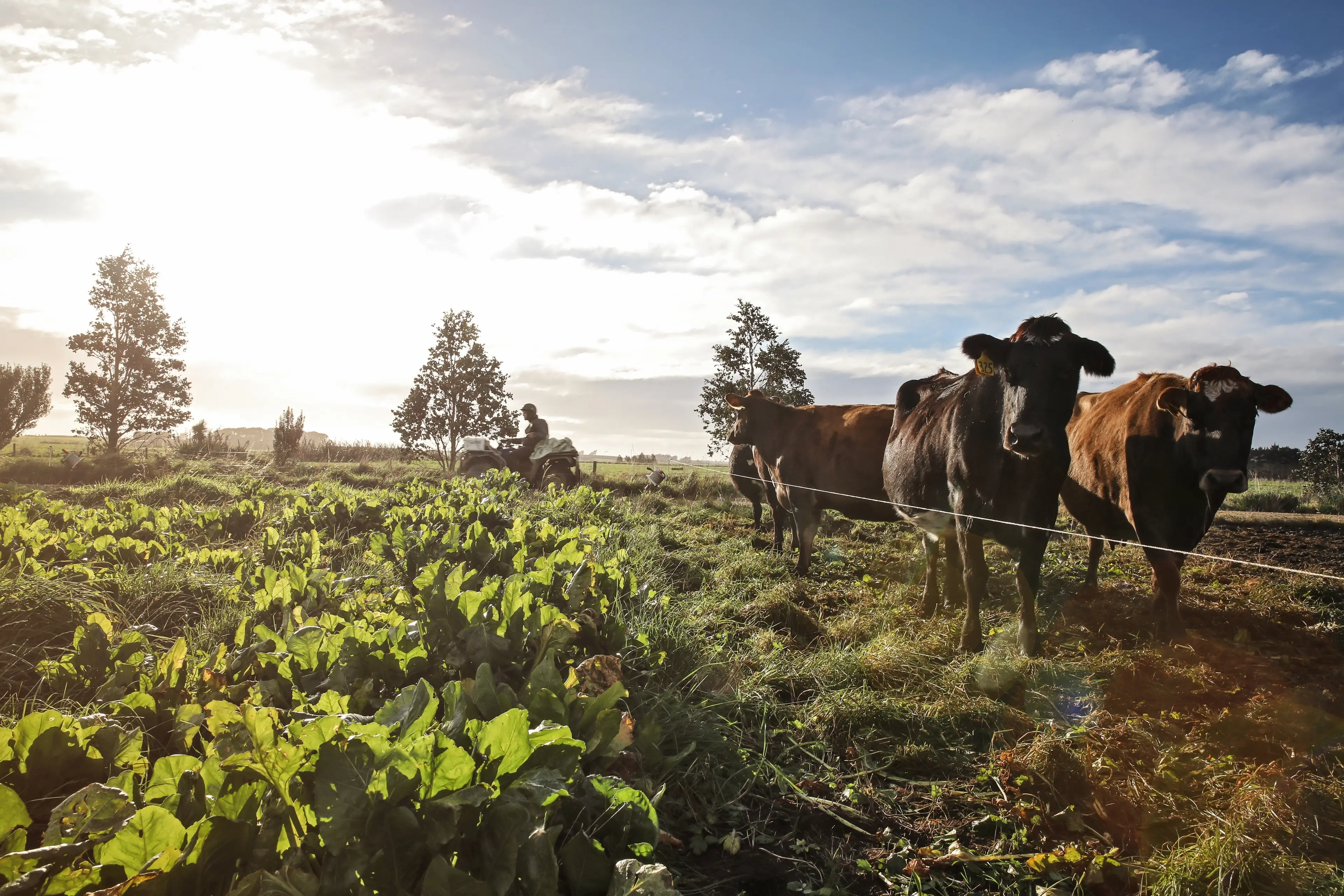 Planning rules . . . The recent passing of the Planning and Natural Environment Bills means there will be gradual changes to planning rules, which could impact on rural consent holders. Photo: Supplied by Environment Canterbury