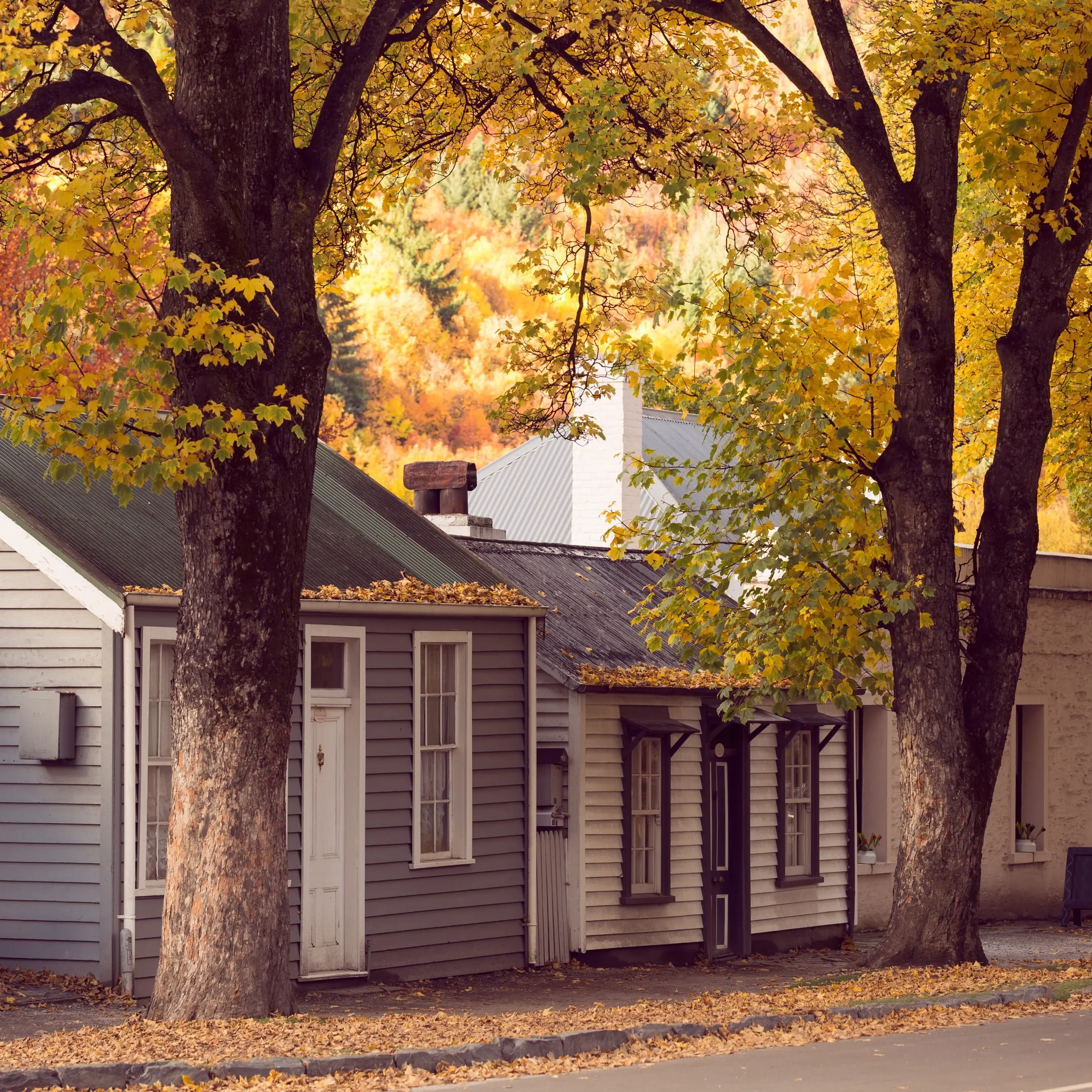 Arrowtown’s heritage flavour at risk