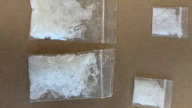 Police dog sniffs out Southland drug stashes