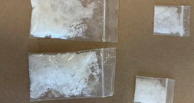 Police dog sniffs out Southland drug stashes