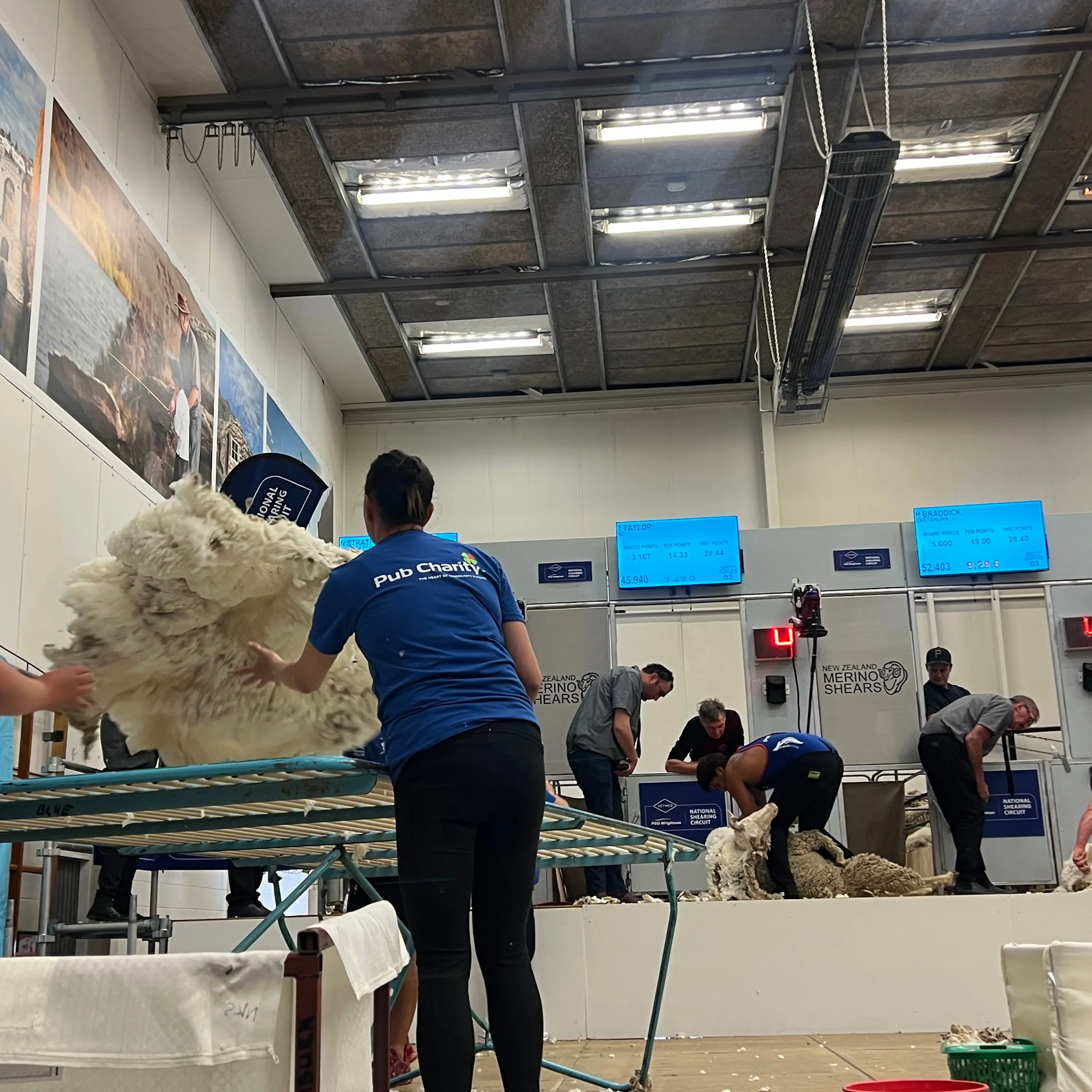 ‘This is what it’s all about’: 65th Merino Shears Championship comes to Alexandra