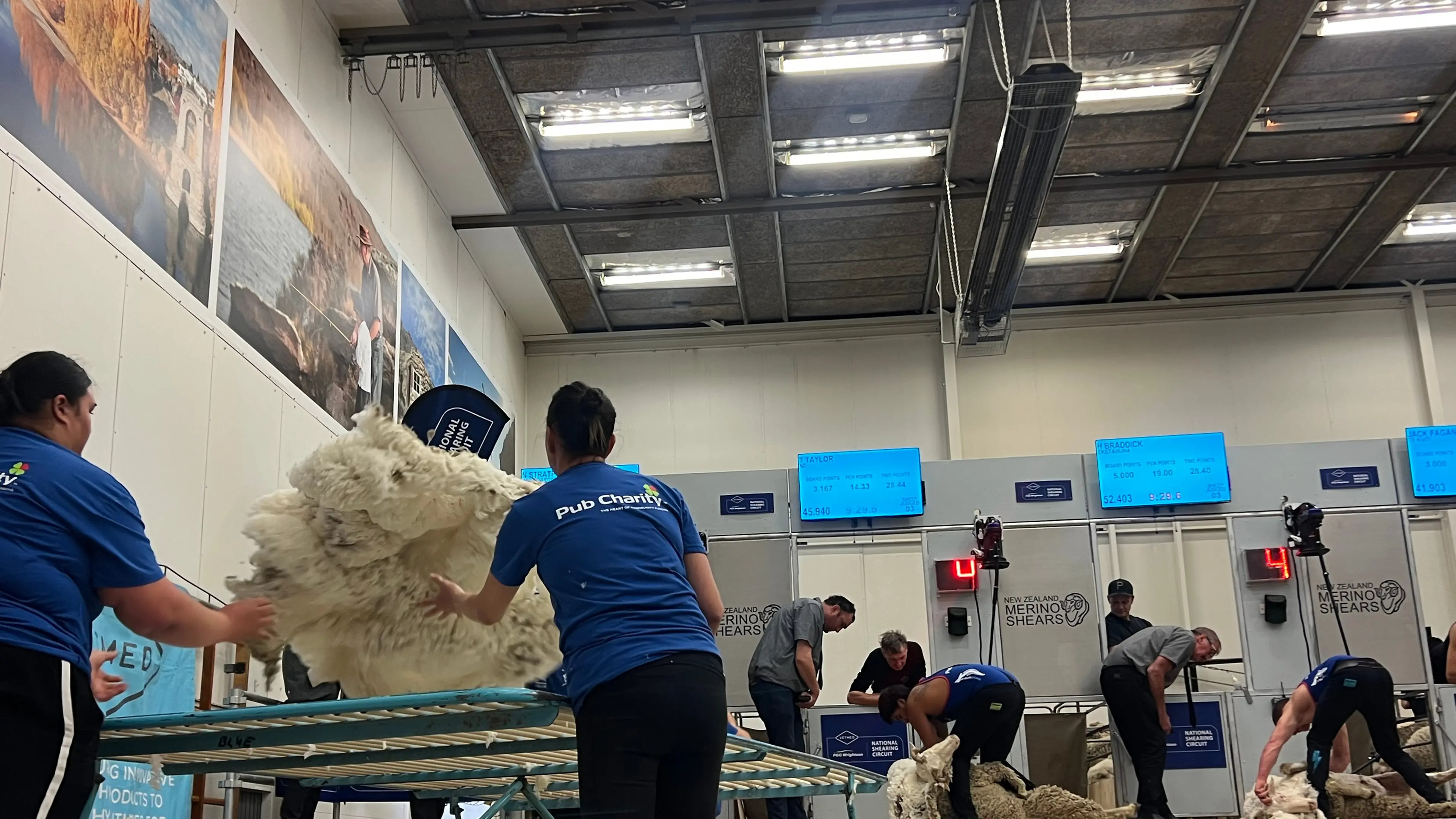 ‘This is what it’s all about’: 65th Merino Shears Championship comes to Alexandra