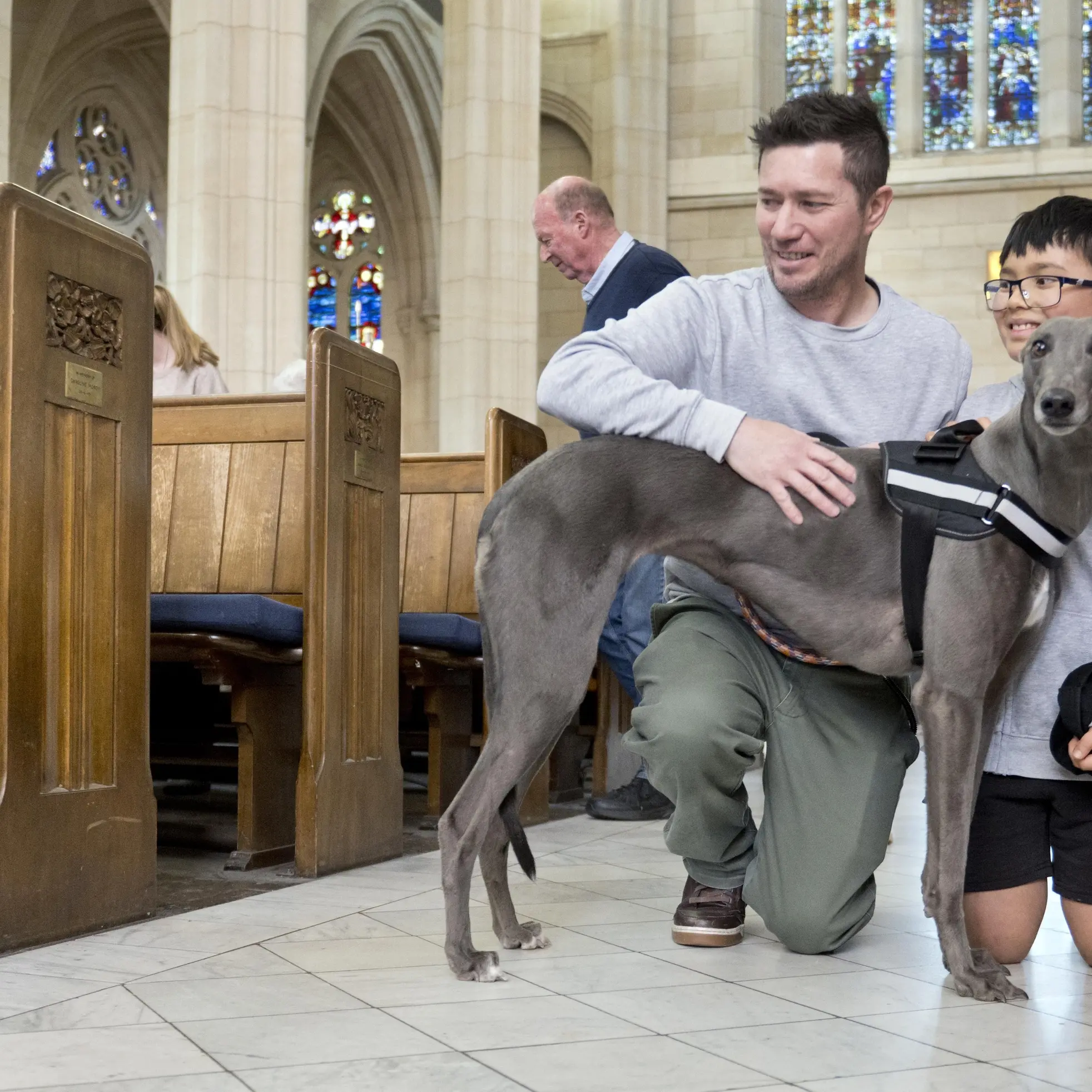 From crate to church pews: retired greyhound Tara enjoys a blessed new life