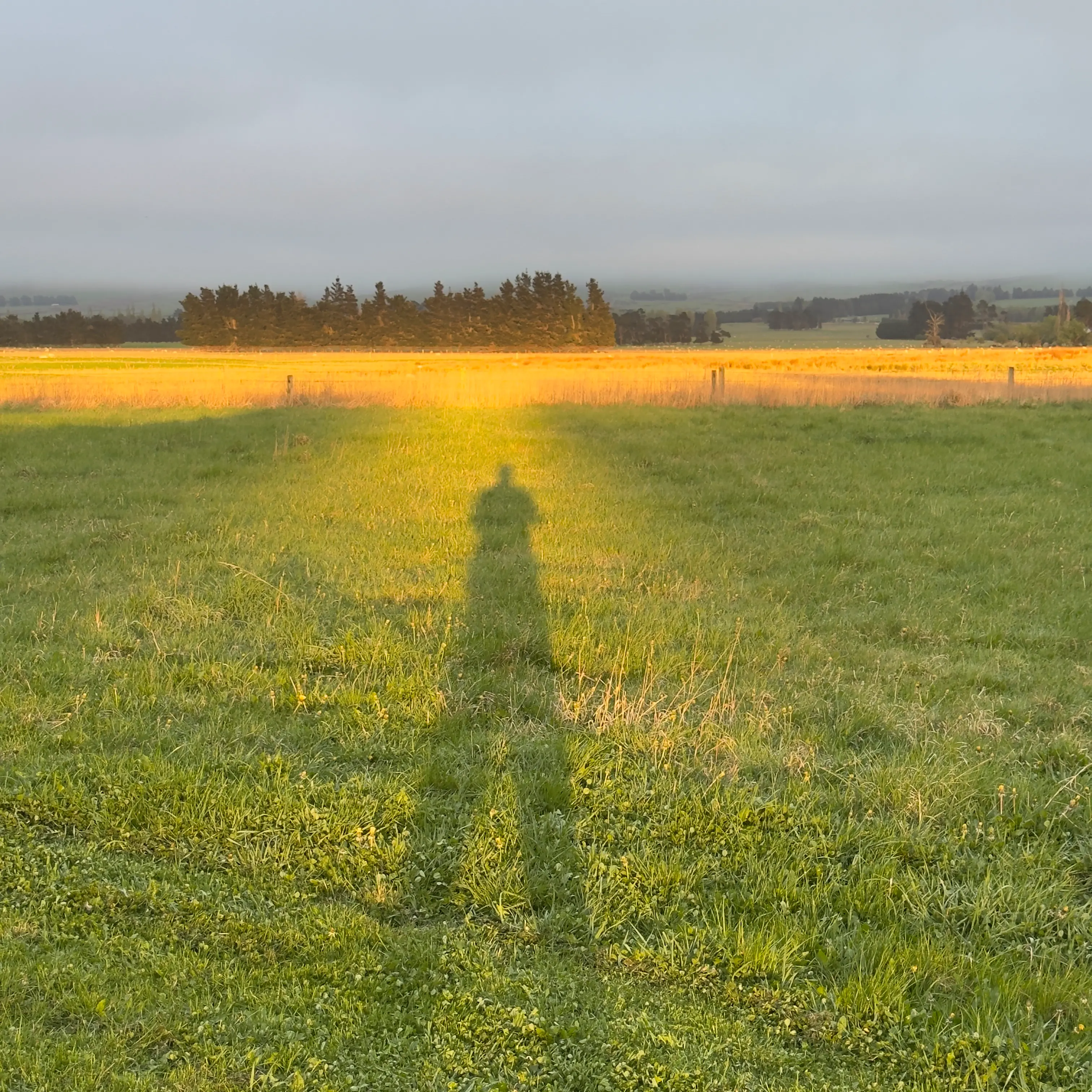 Capturing the holy light