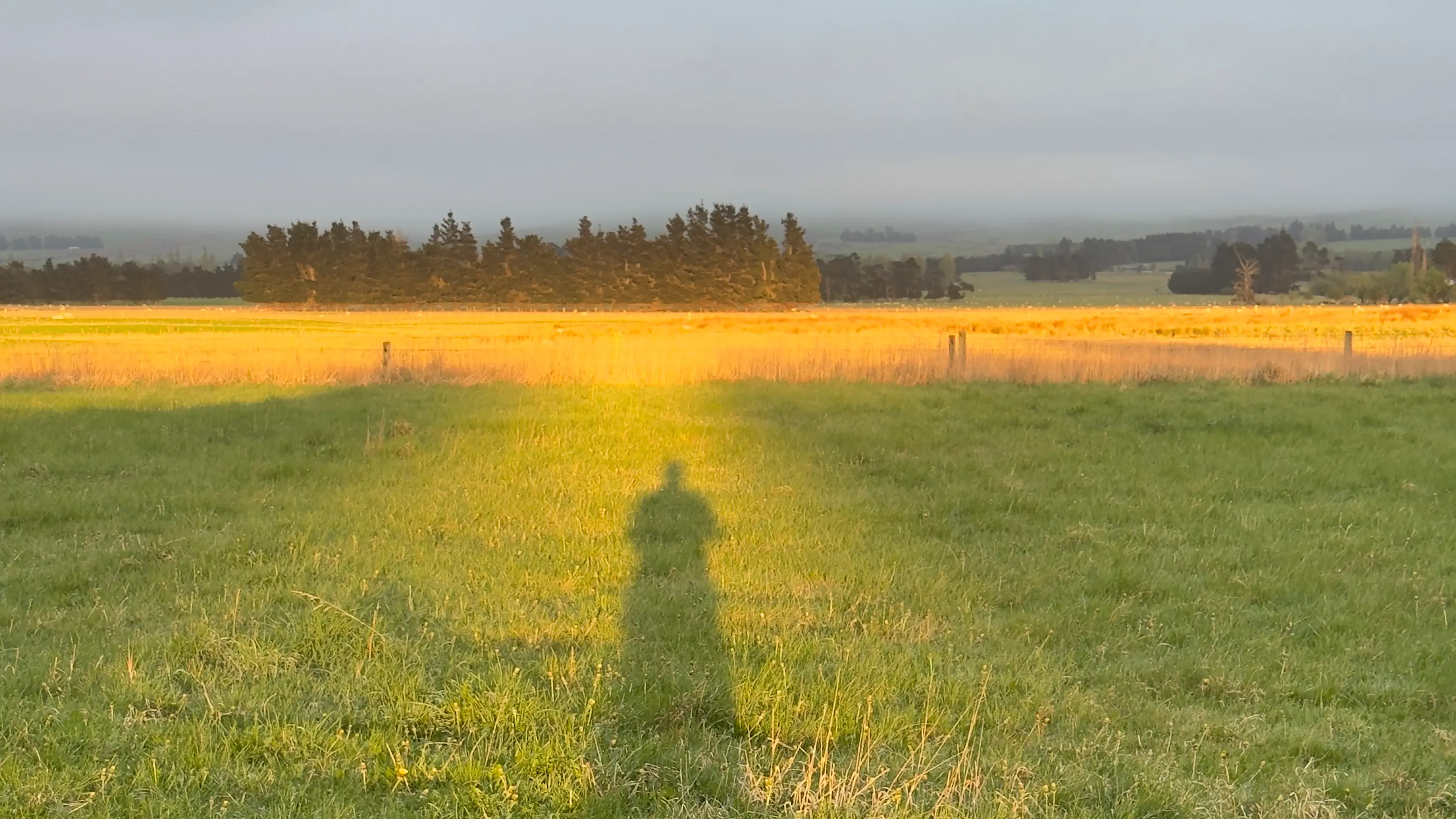 Capturing the holy light