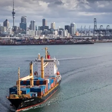 Low productivity is NZ’s economic elephant in the room