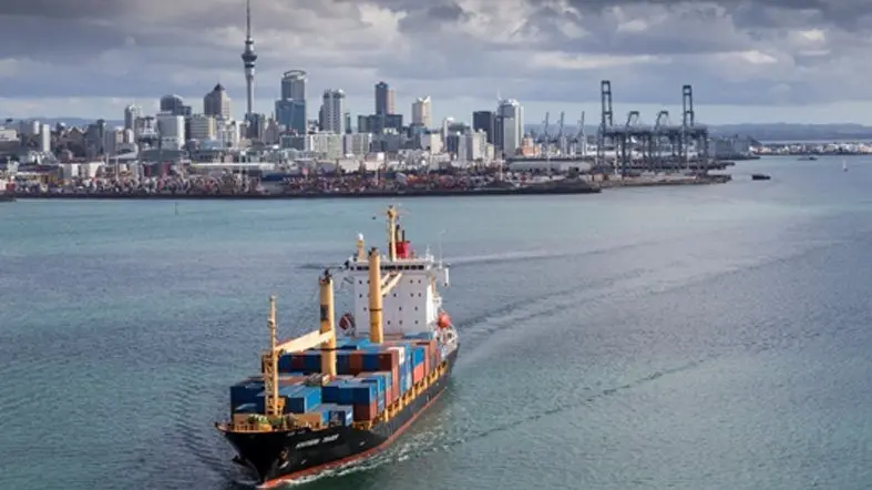 Low productivity is NZ’s economic elephant in the room