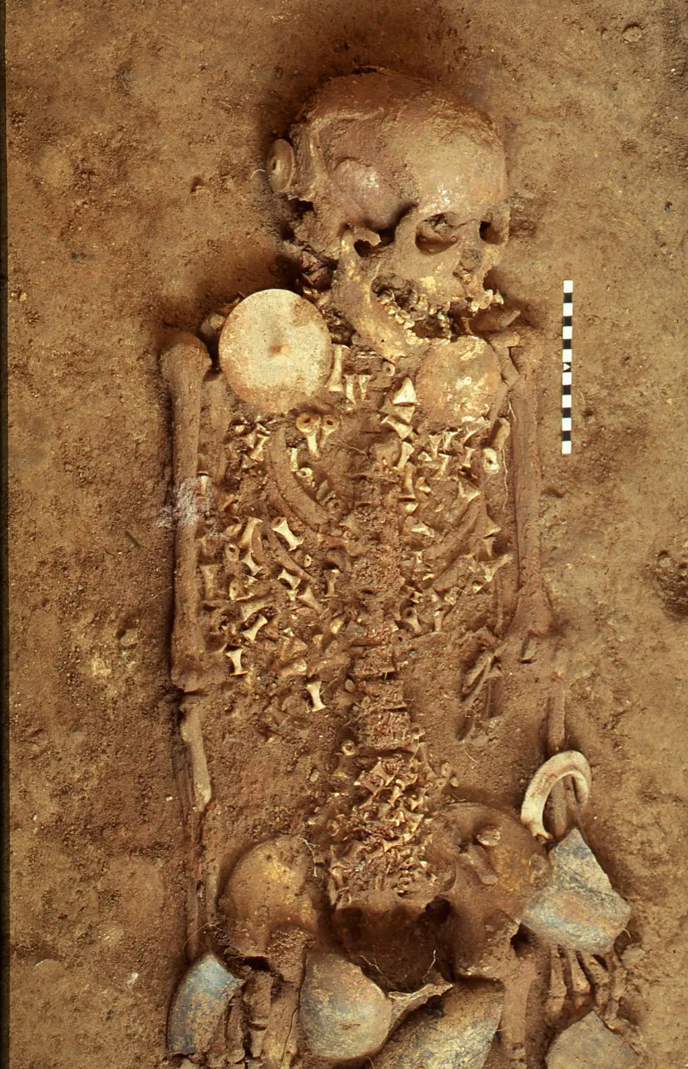 Prehistoric discovery reveals expert potter