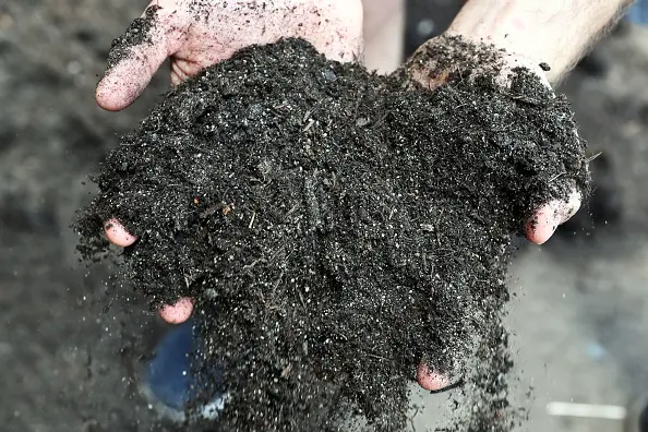 Legionella bacteria can thrive in moist environments and stagnant water, including potting mix, compost and other soil products. Photo: Getty Images