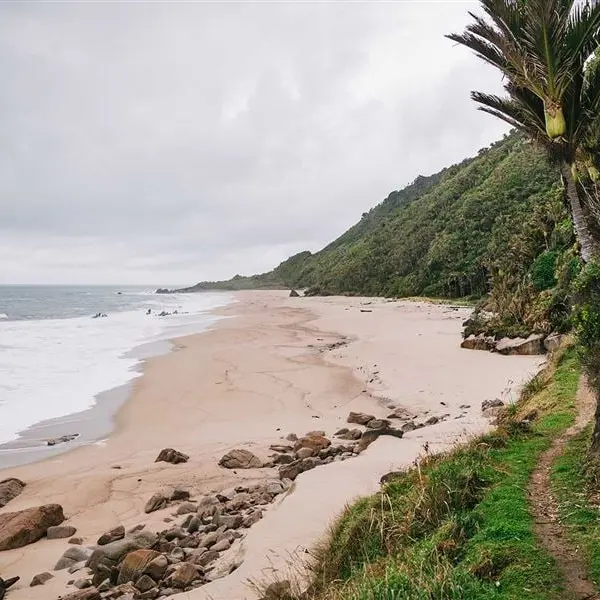 1080 poison drop planned on 29,000ha of national park