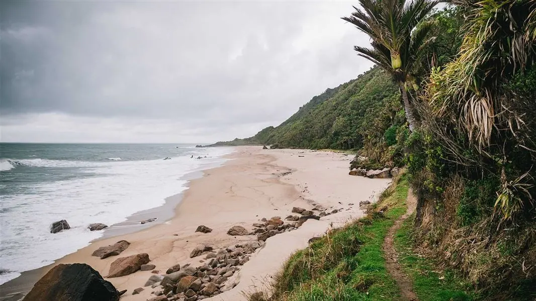 1080 poison drop planned on 29,000ha of national park