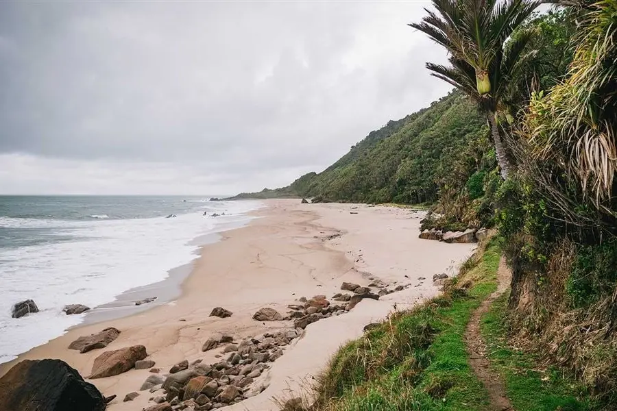 1080 poison drop planned on 29,000ha of national park
